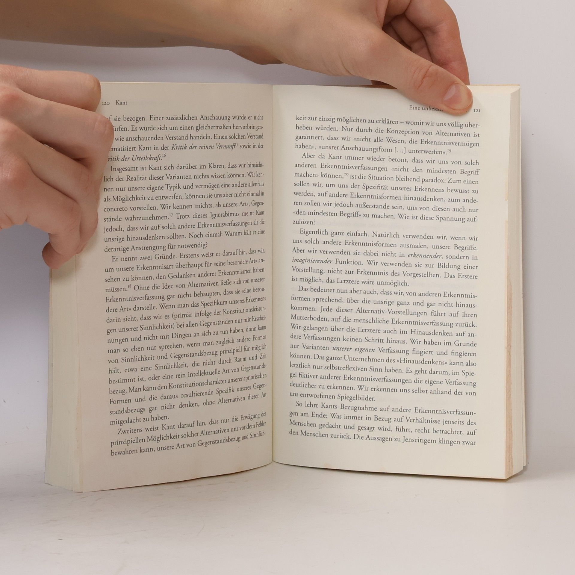 Wolfgang Welsch Glanzmomente der Philosophie