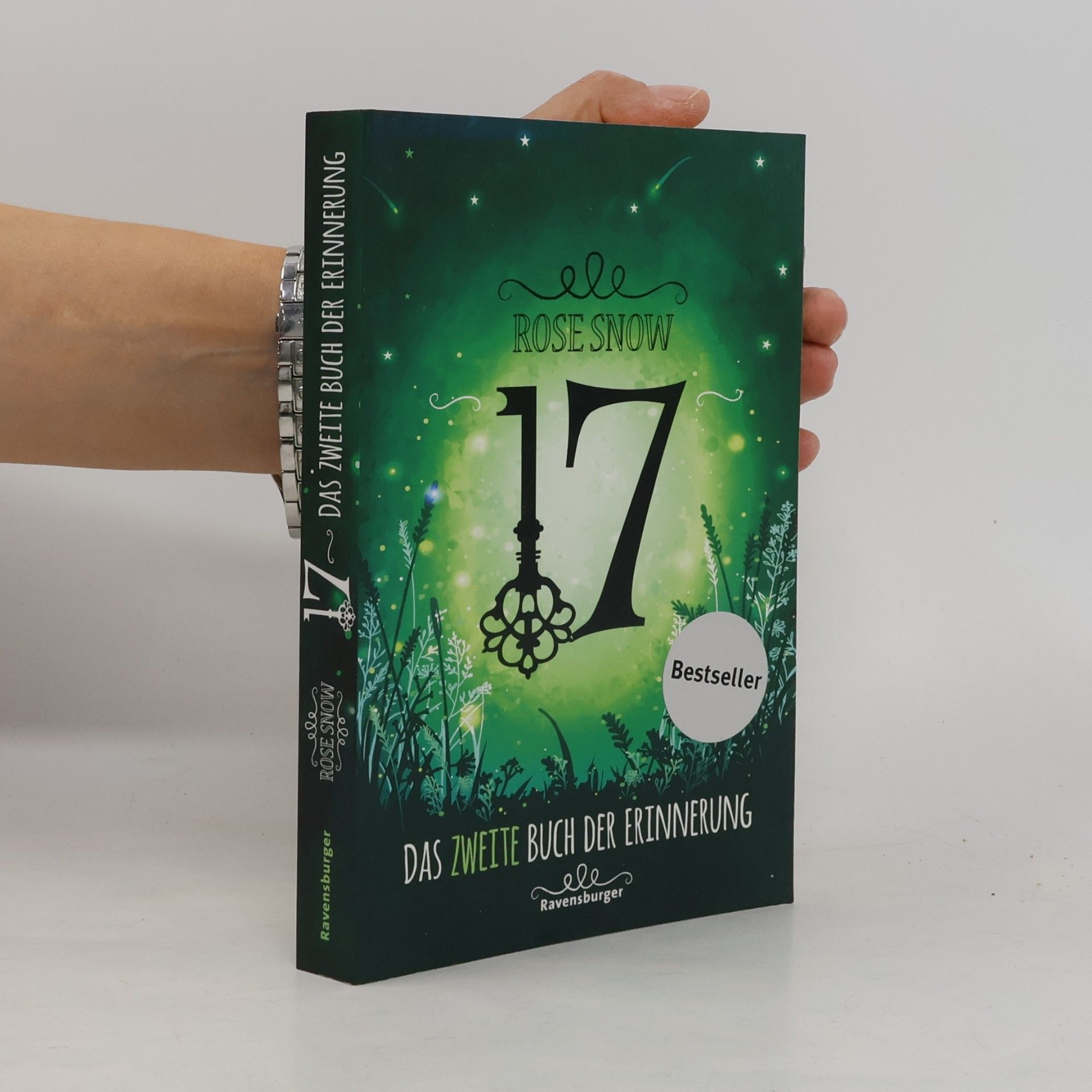 Snow Rose 17 : Das zweite Buch der Erinnerung