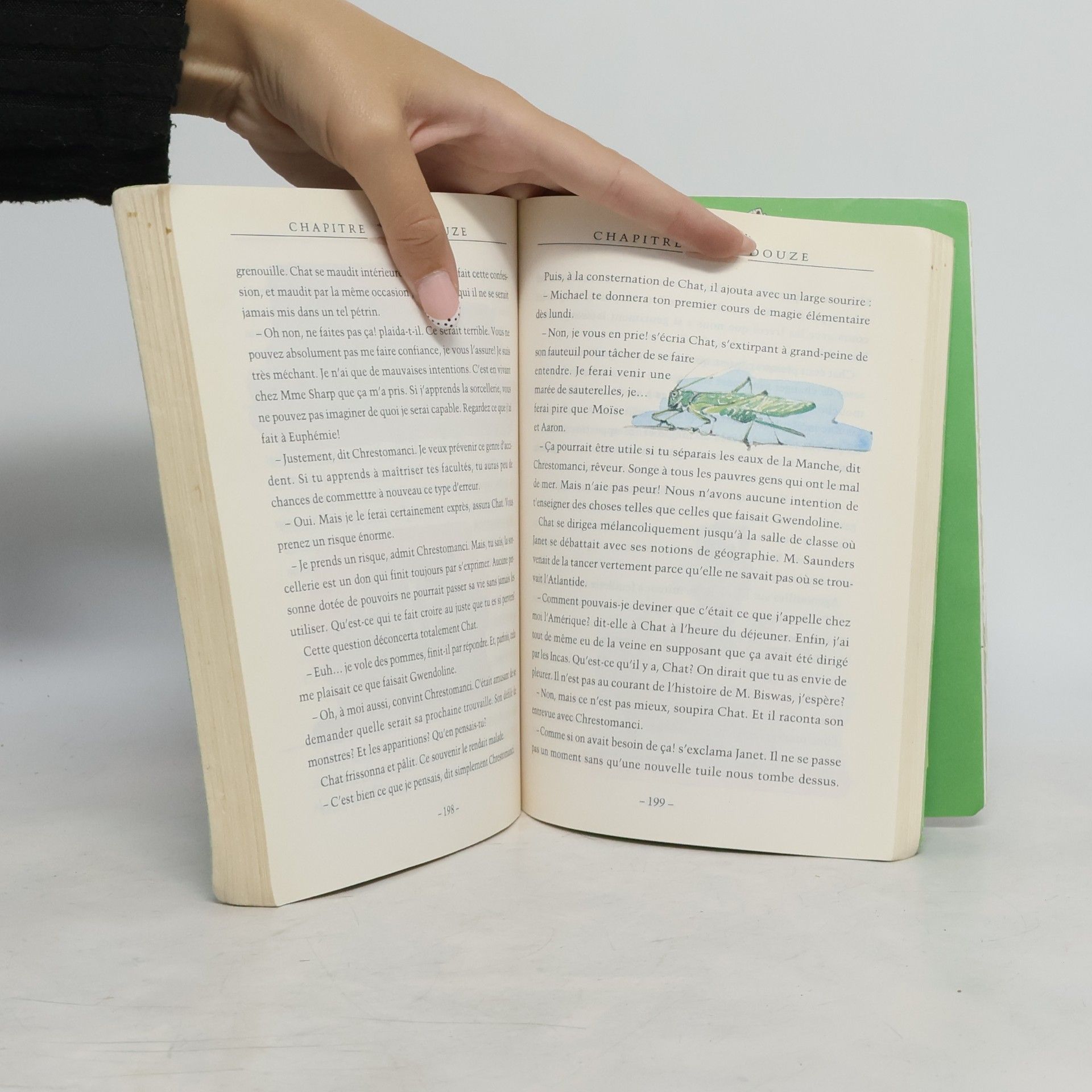 Diana Wynne Jones  Lecture Junior - 11: Ma sœur est une sorcière
