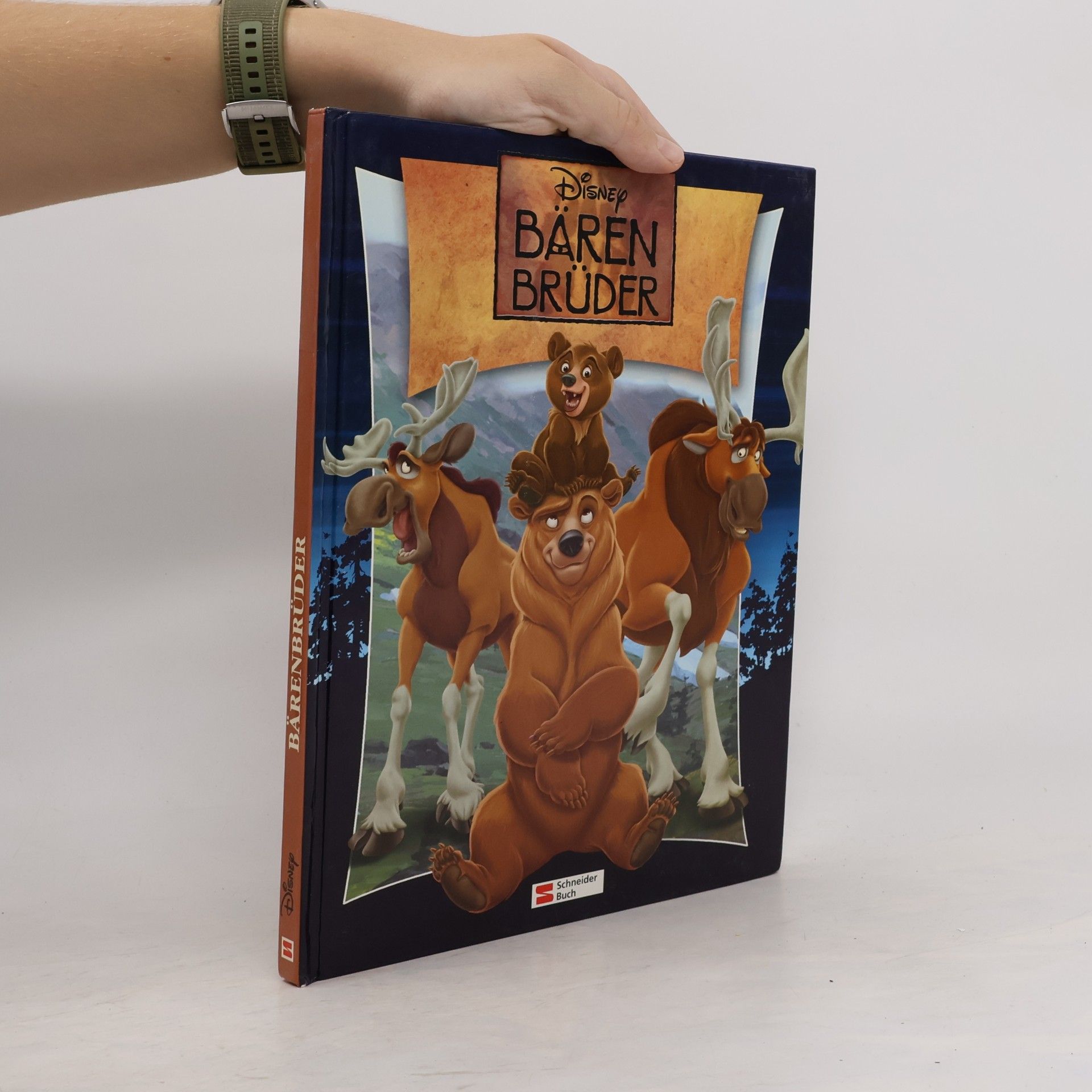 Walt Disney Disney: Bärenbrüder