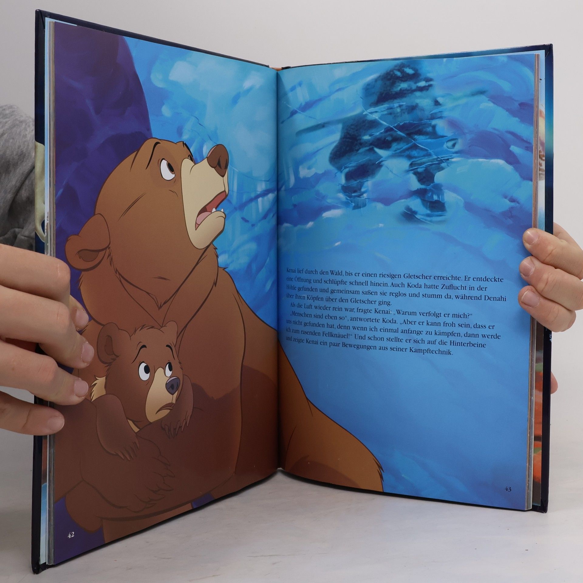 Walt Disney Disney: Bärenbrüder