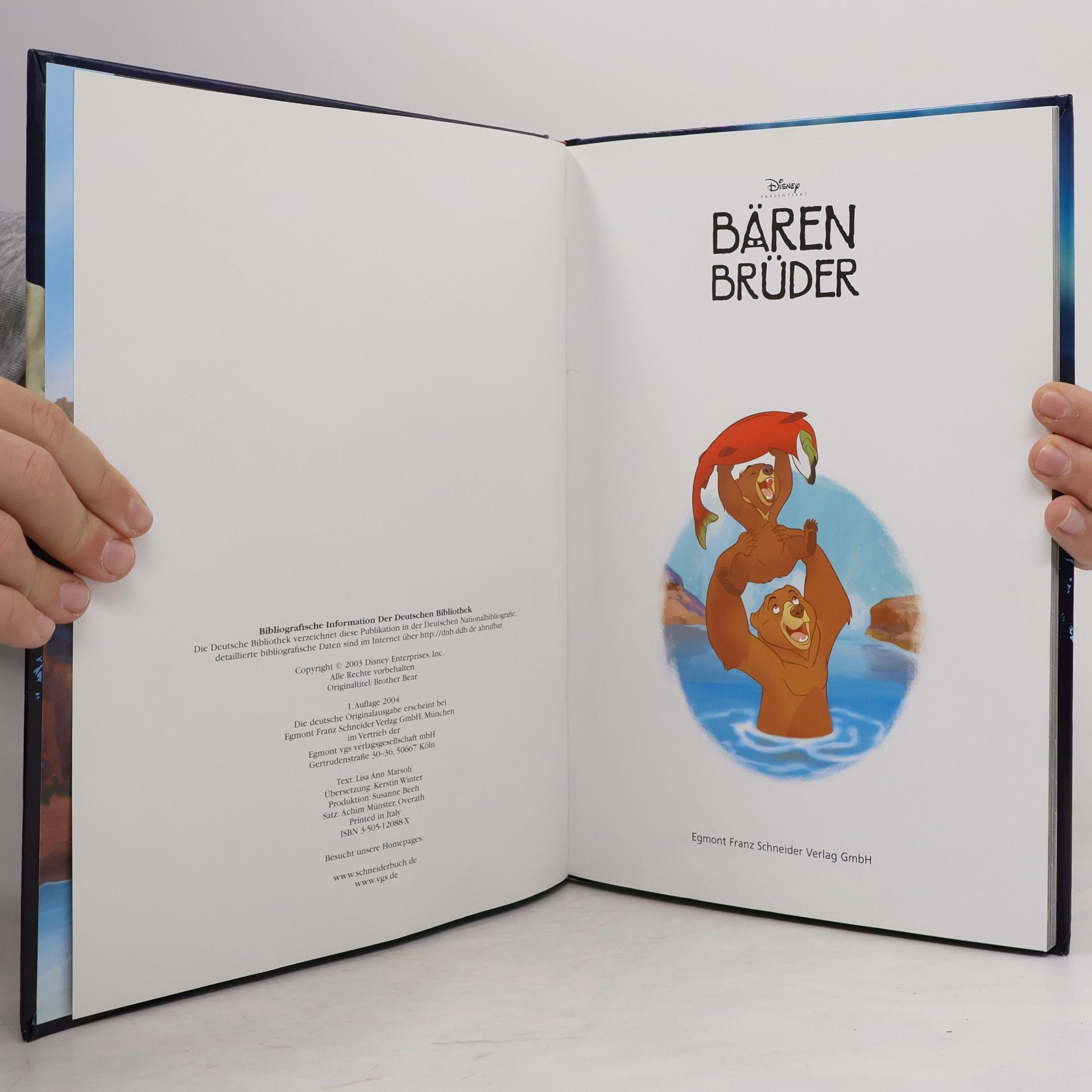 Walt Disney Disney: Bärenbrüder