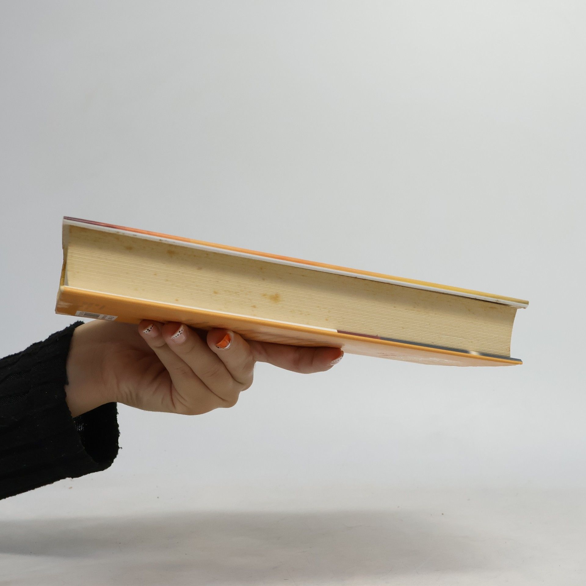 Françoise Bourdin Dans le silence de l'aube