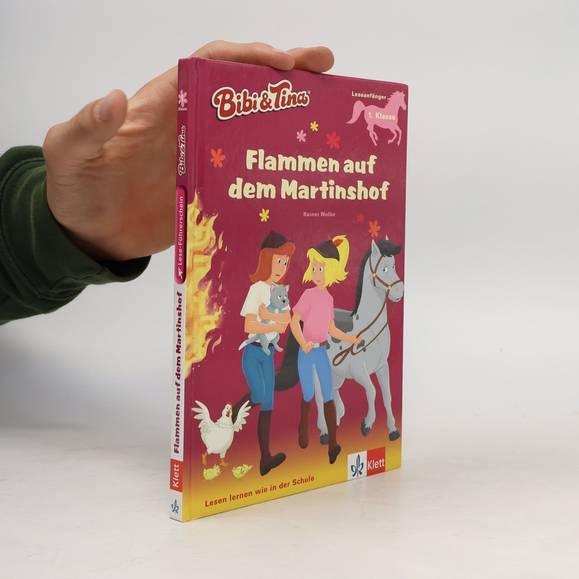 Rainer Wolke Bibi & Tina - Flammen auf dem Martinshof
