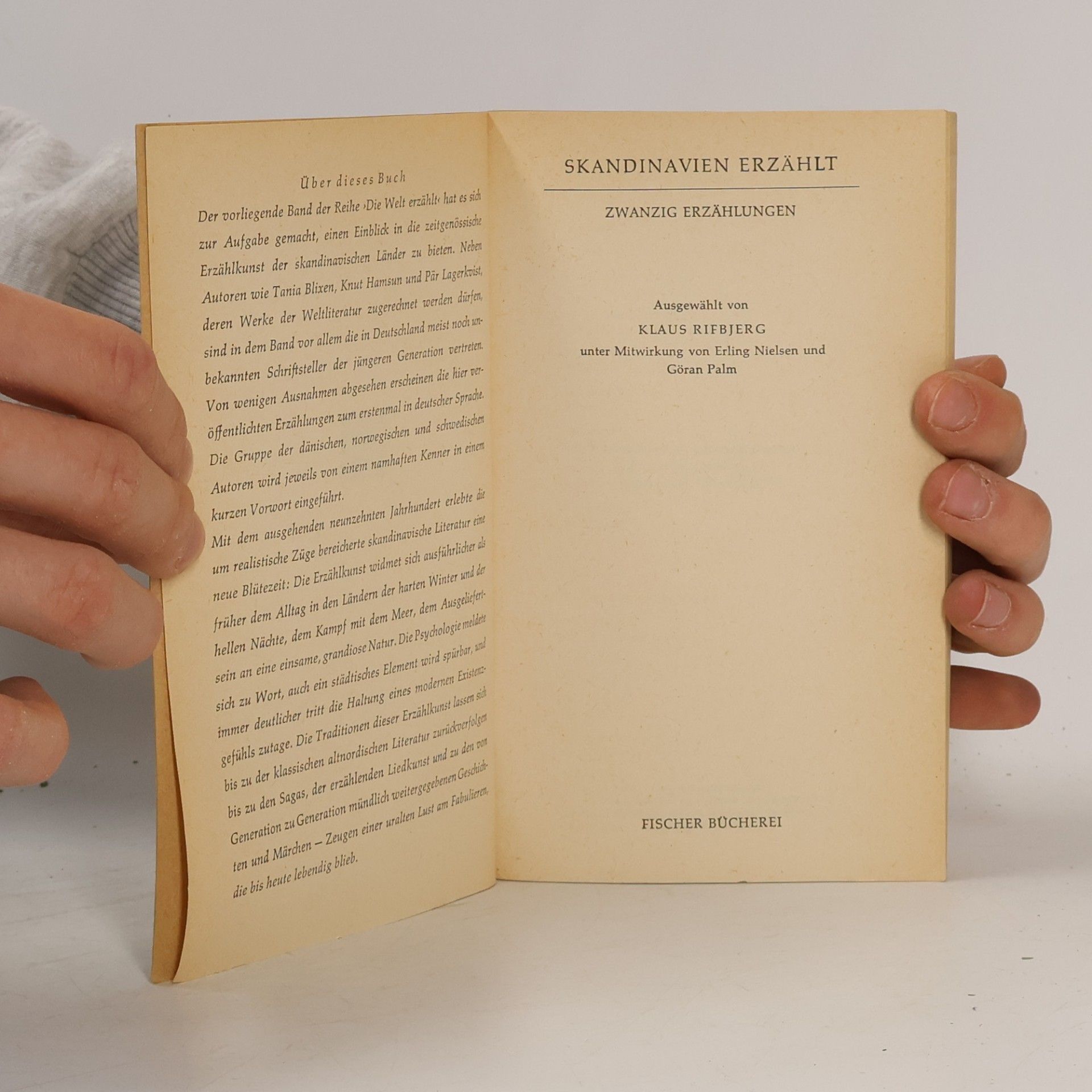 Collectif d'auteurs Skandinavien erzählt