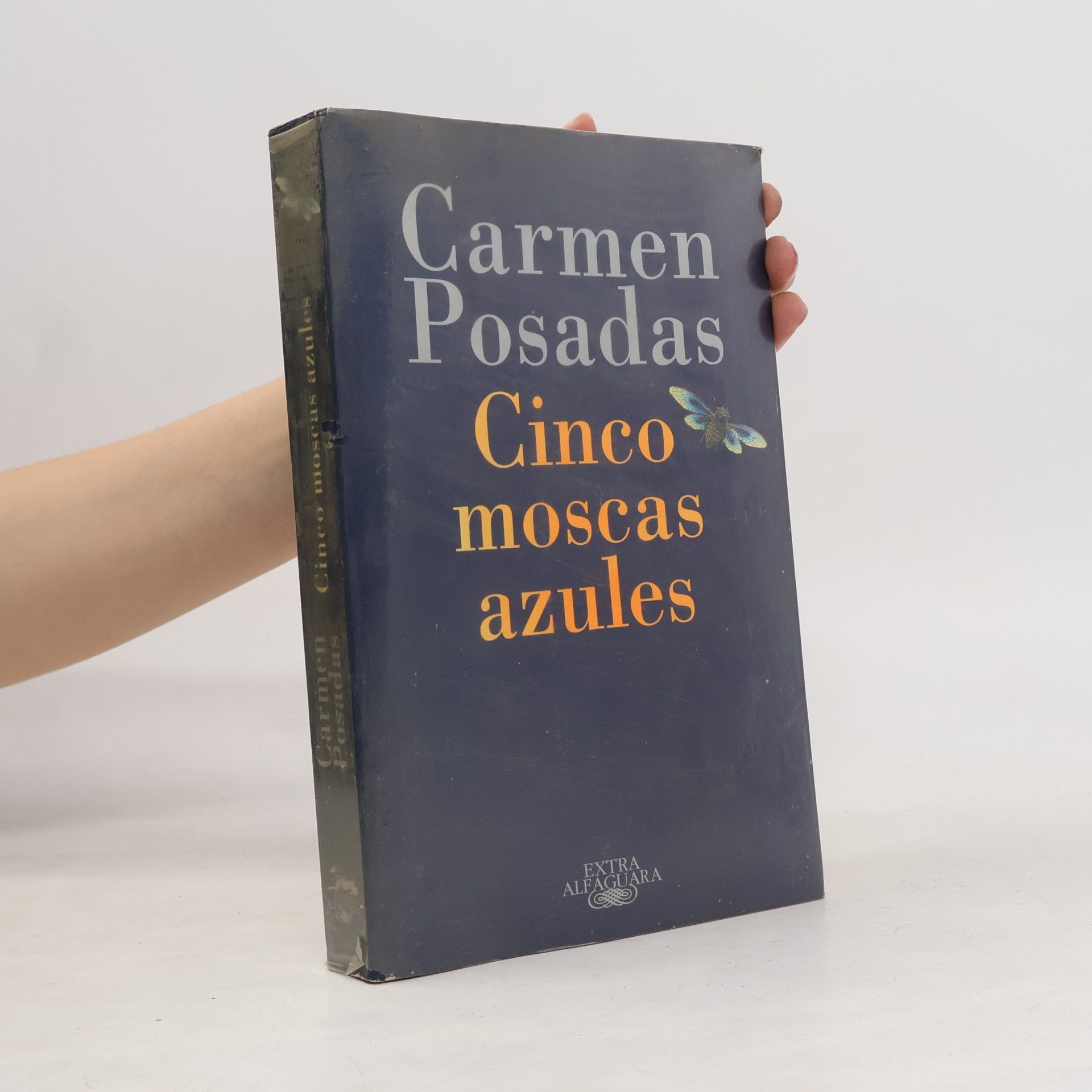 Carmen Posadas Cinco moscas azules