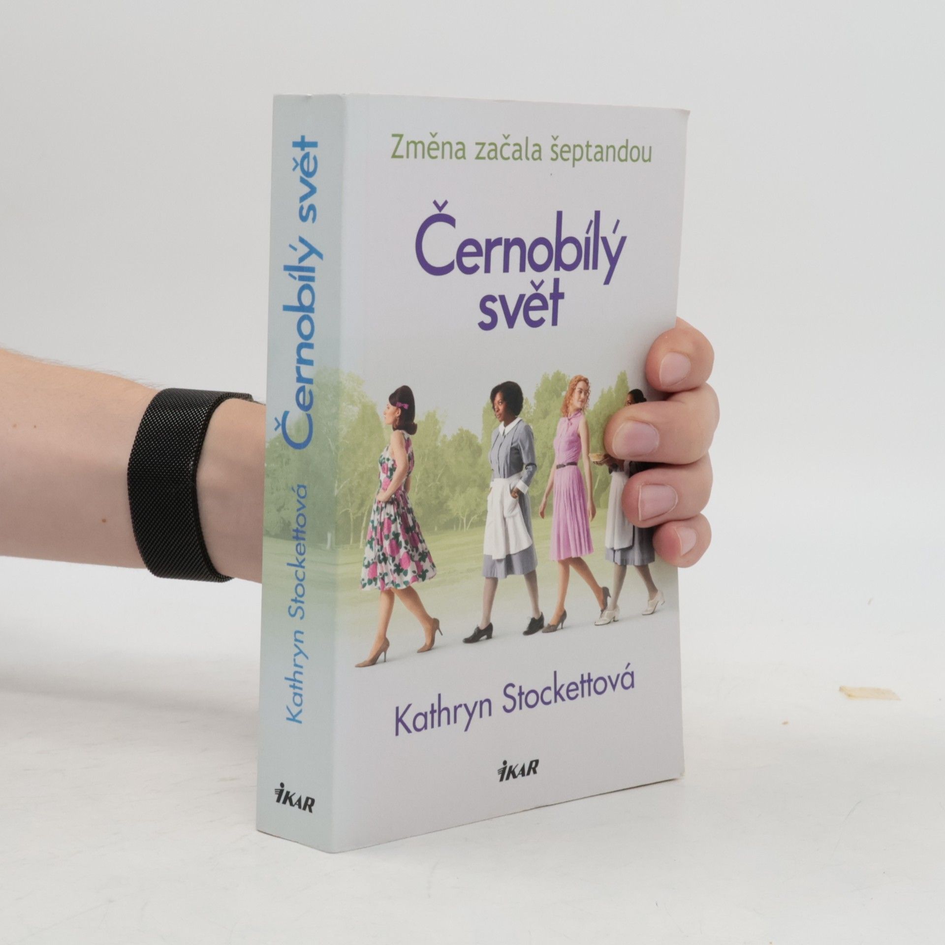 Kathryn Stockett Černobílý svět