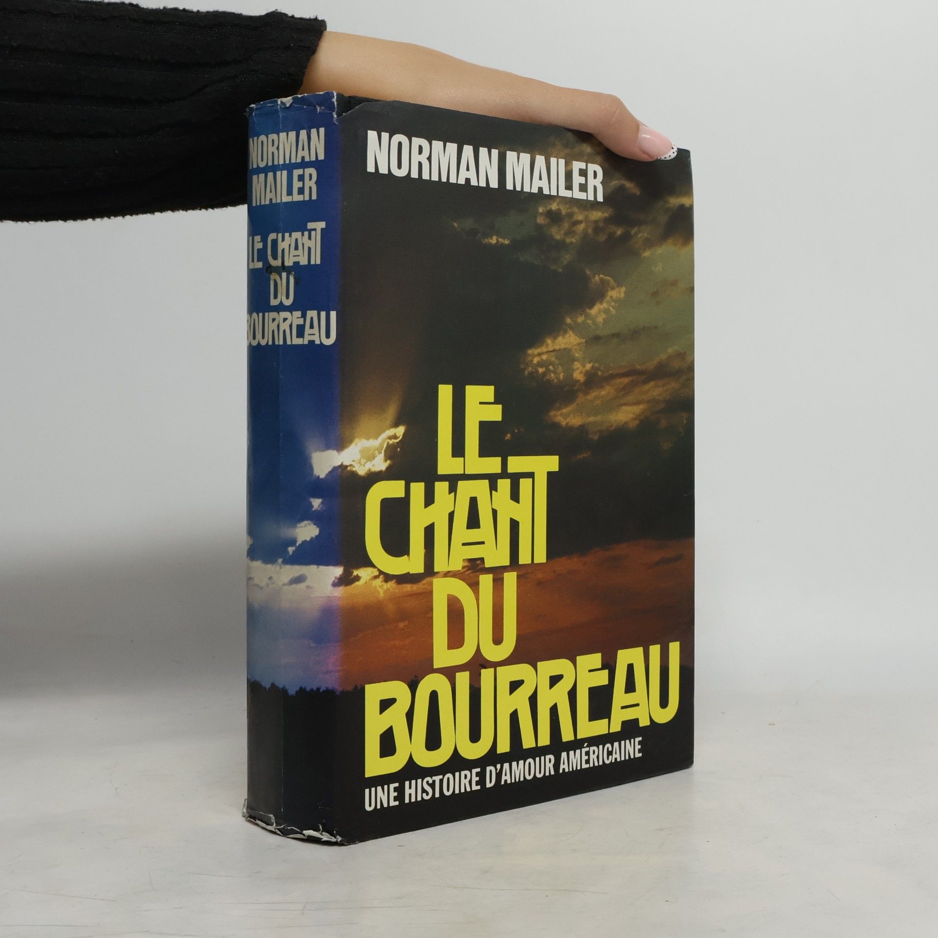 Norman Mailer Le Chant Du Bourreau Une Histoire Damour