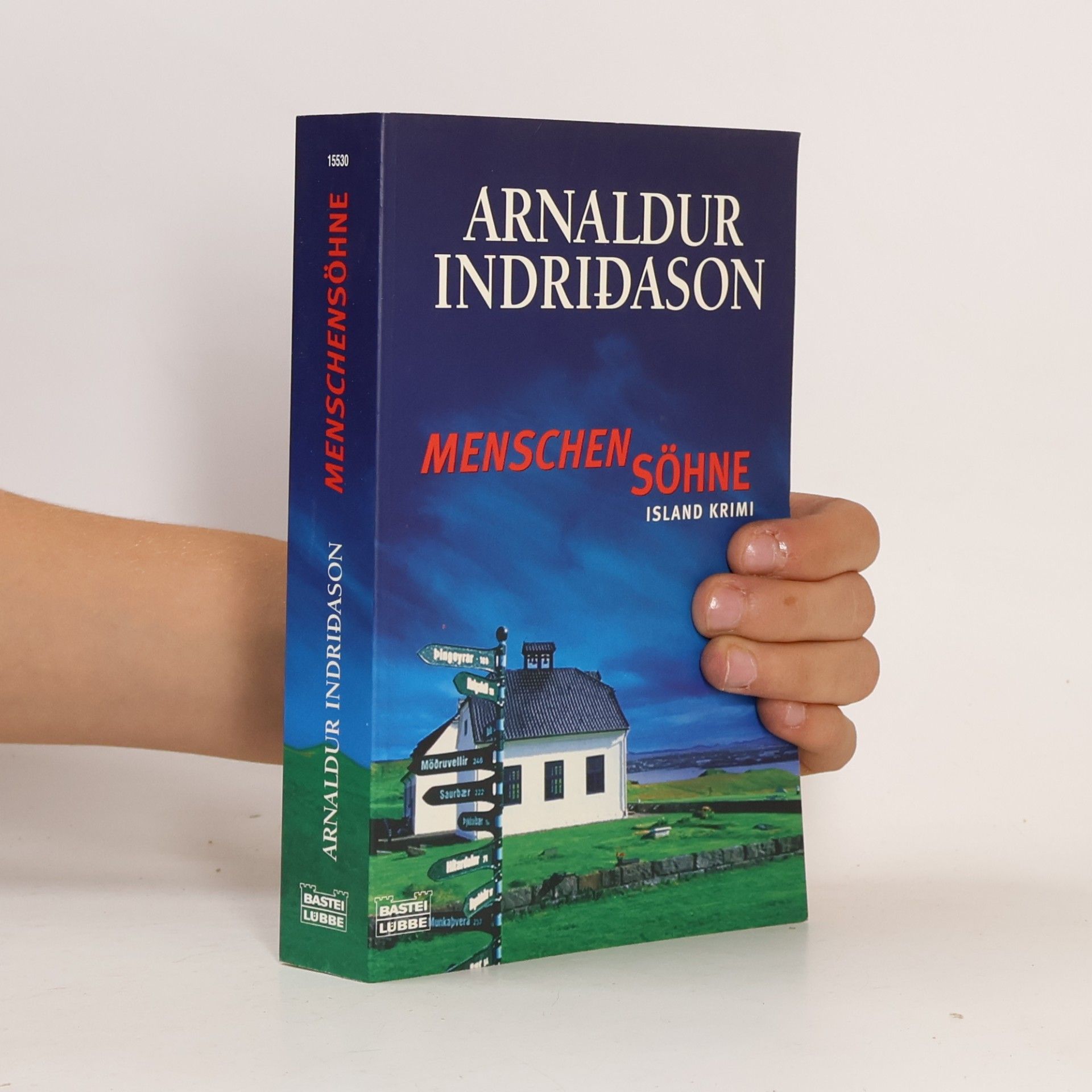 Arnaldur Indridason Menschensöhne