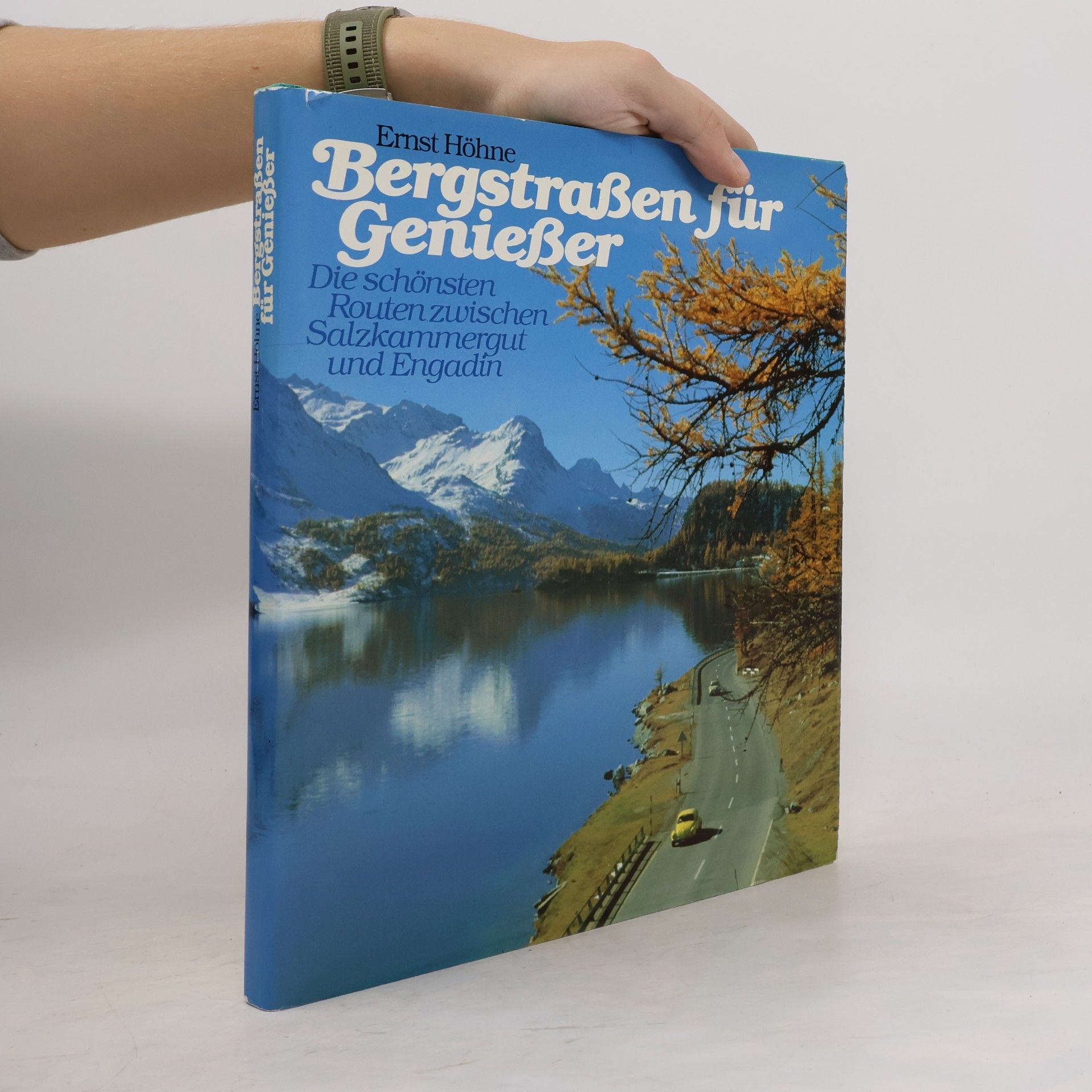 Ernst Höhne Bergstraßen für Genießer