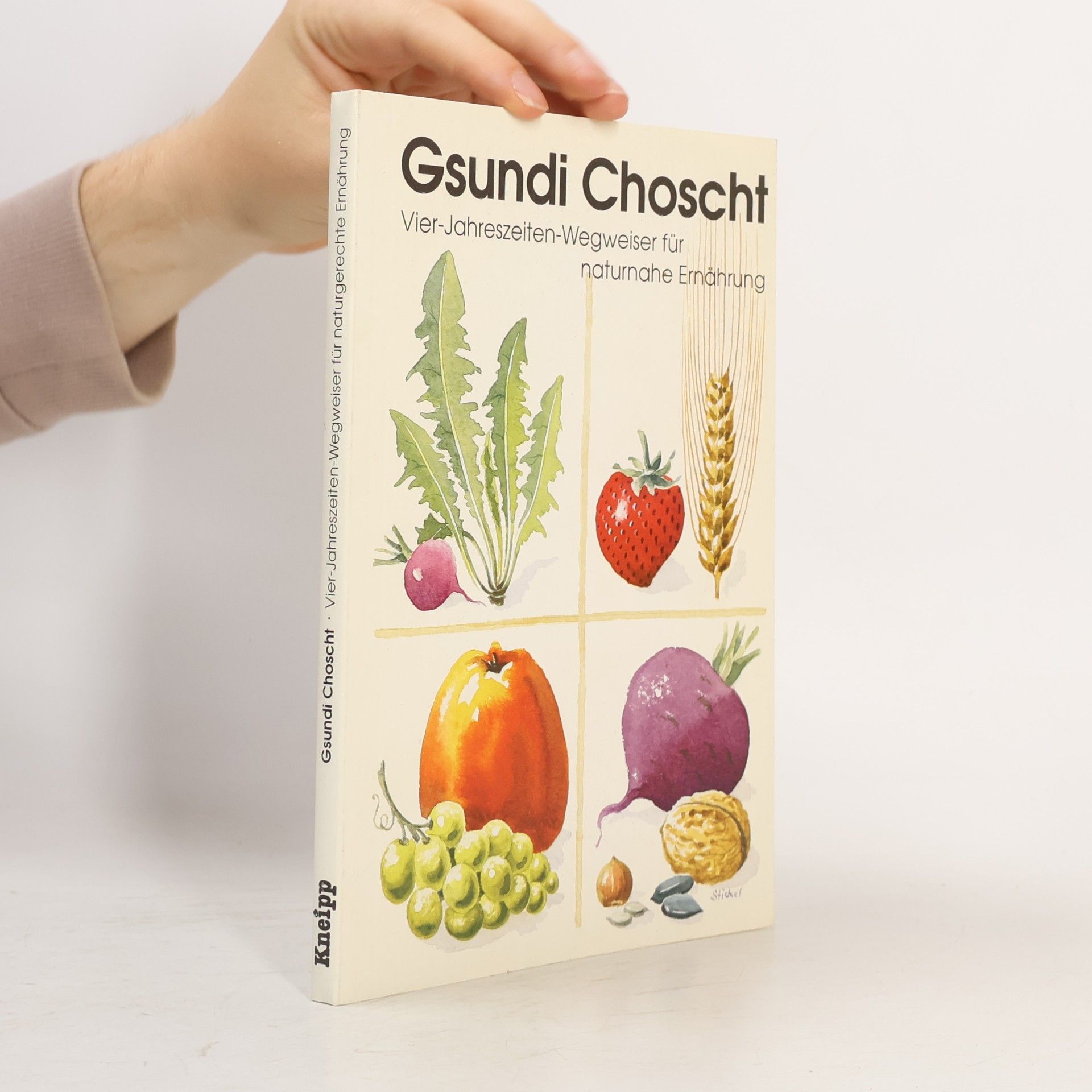 Various authors Gsundi Choscht