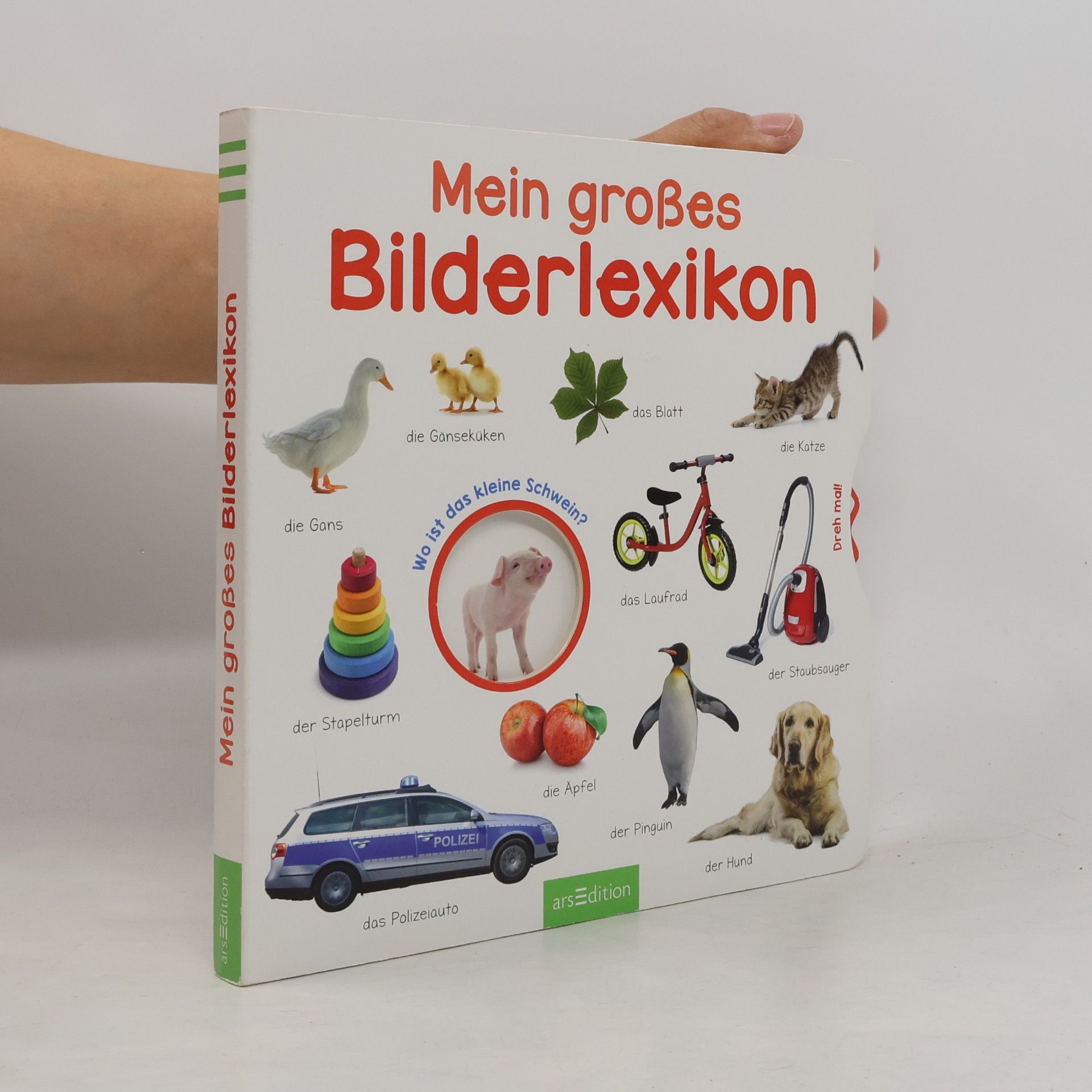 Various authors Mein großes Bilderlexikon