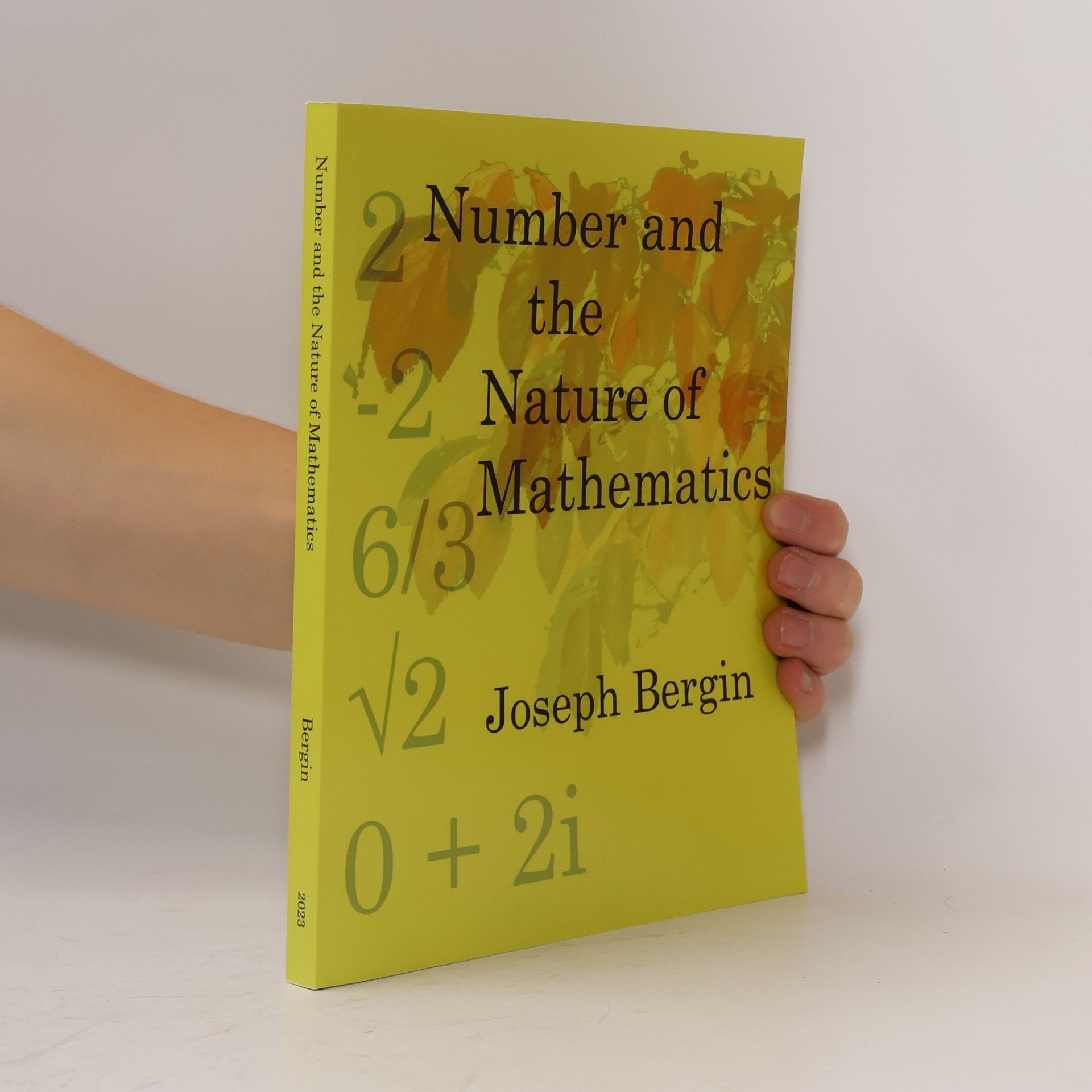 Bergin PhD, Joseph Number and the Nature of Mathematics