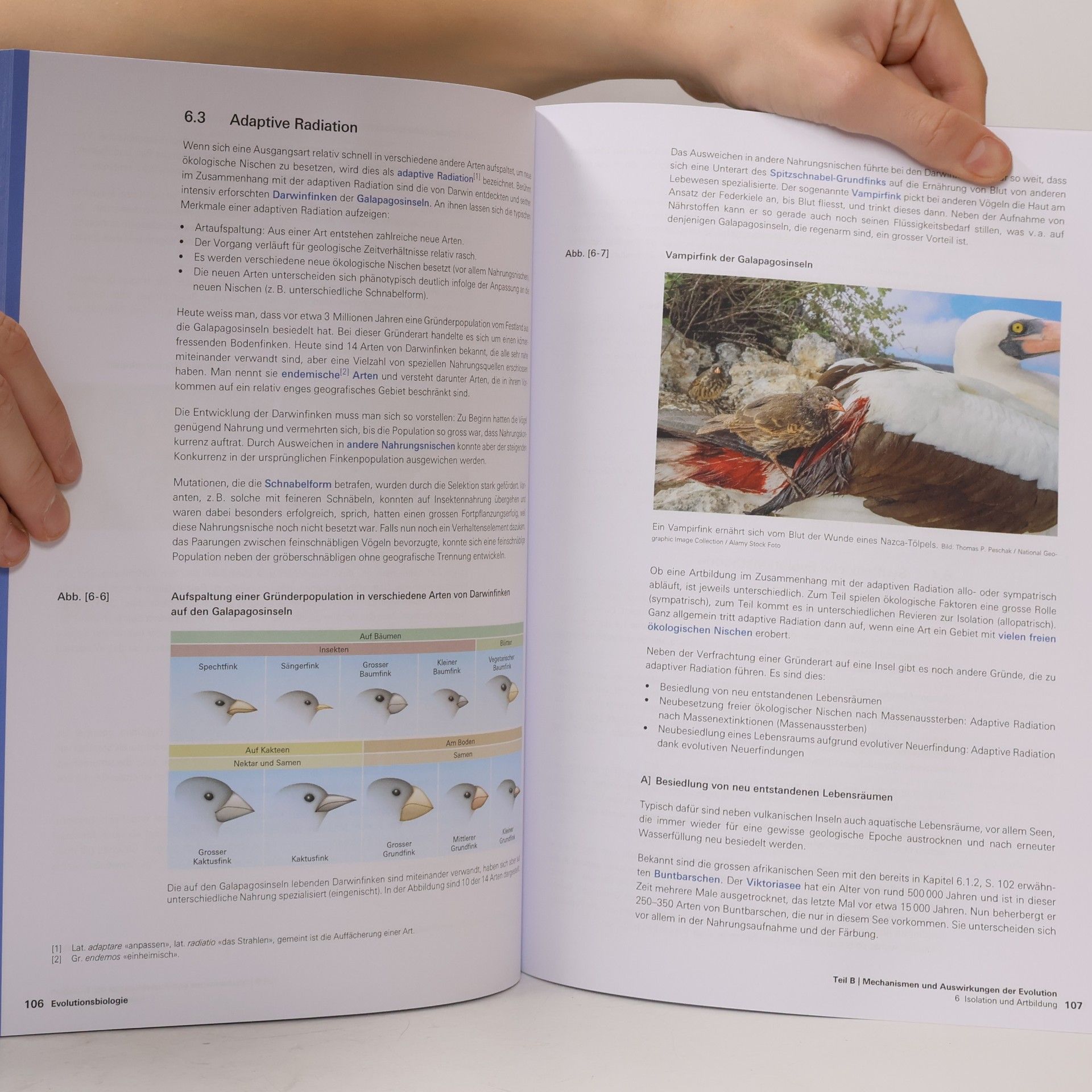 Martin Lüscher Evolutionsbiologie