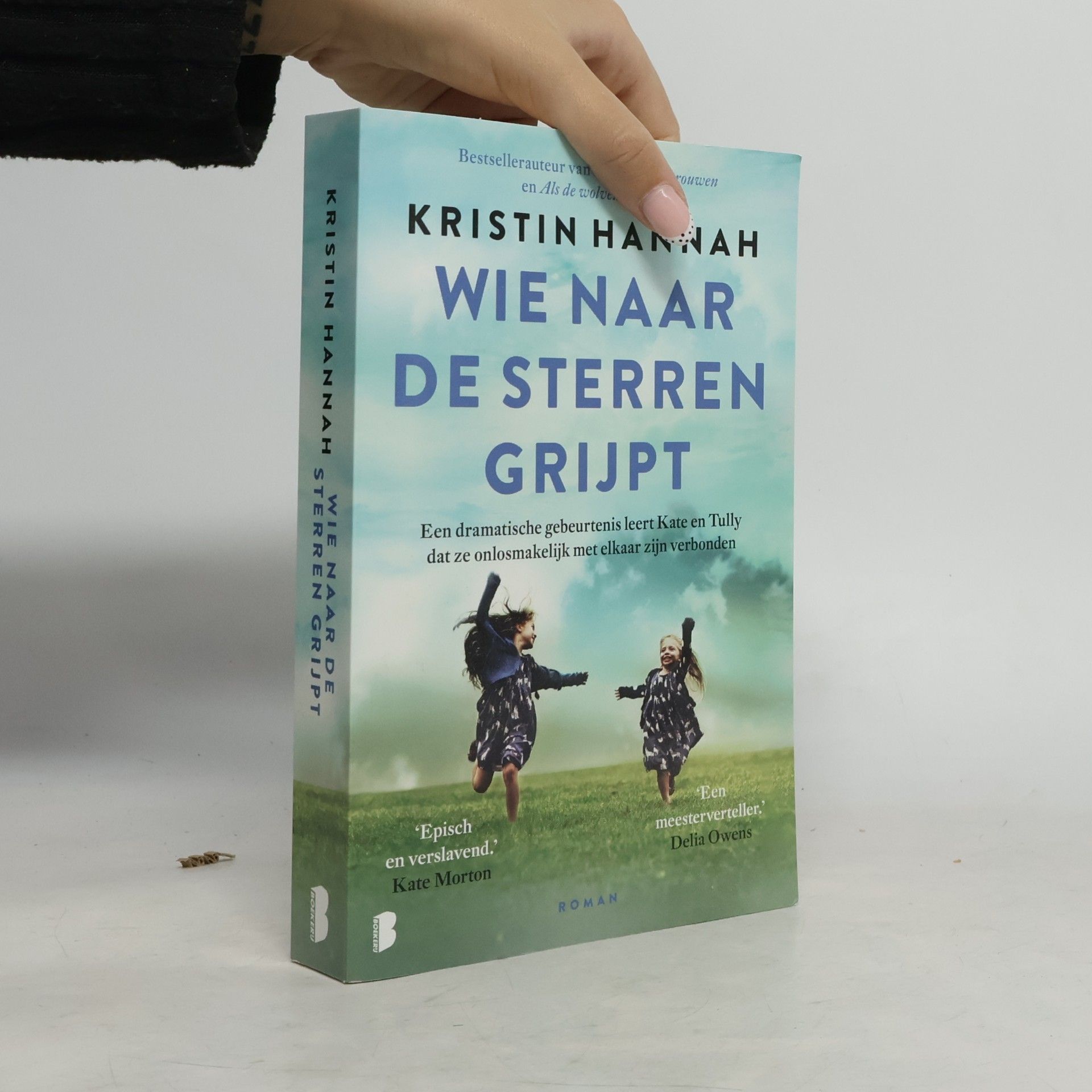 Kristin Hannah Wie naar de sterren grijpt