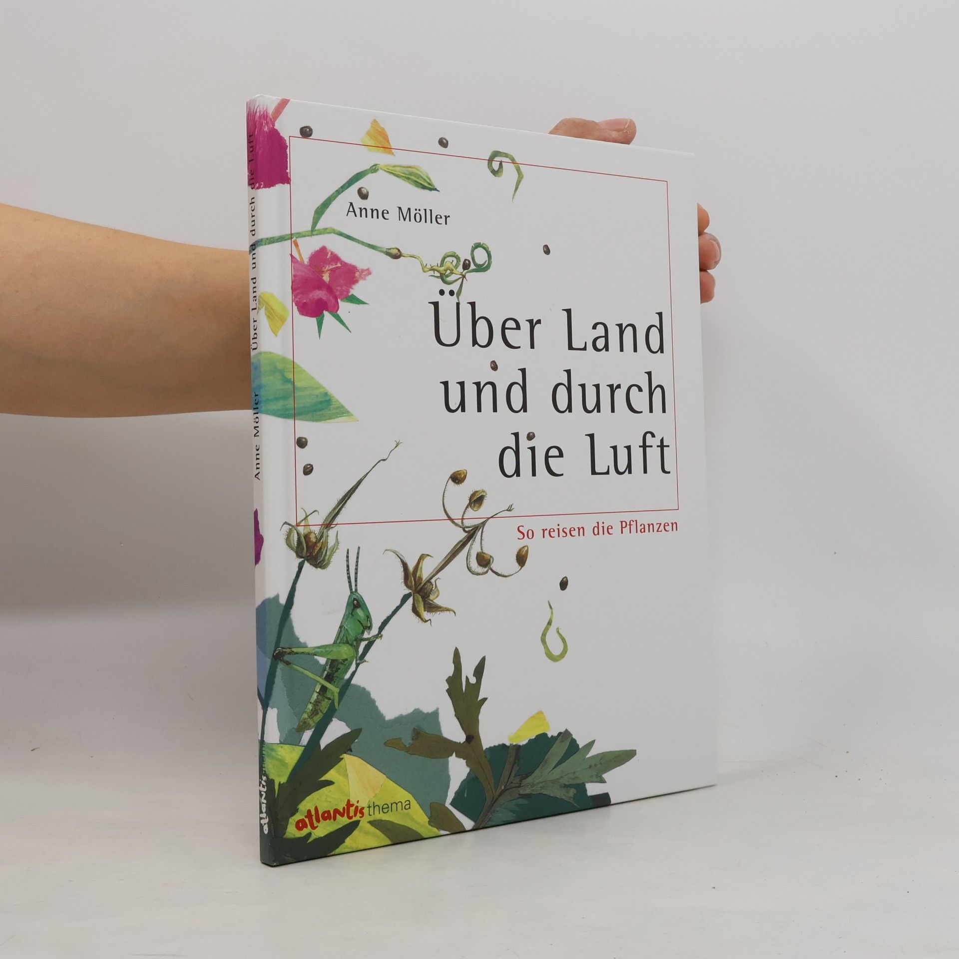 René Bucher Über Land und durch die Luft