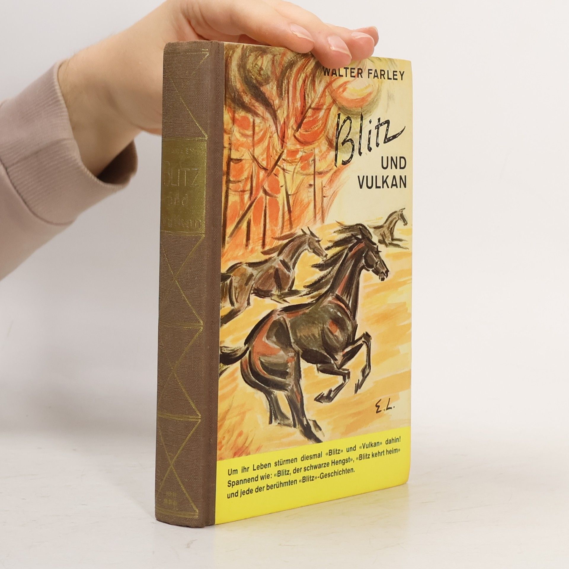 Walter Farley Blitz und der Brandfuchs