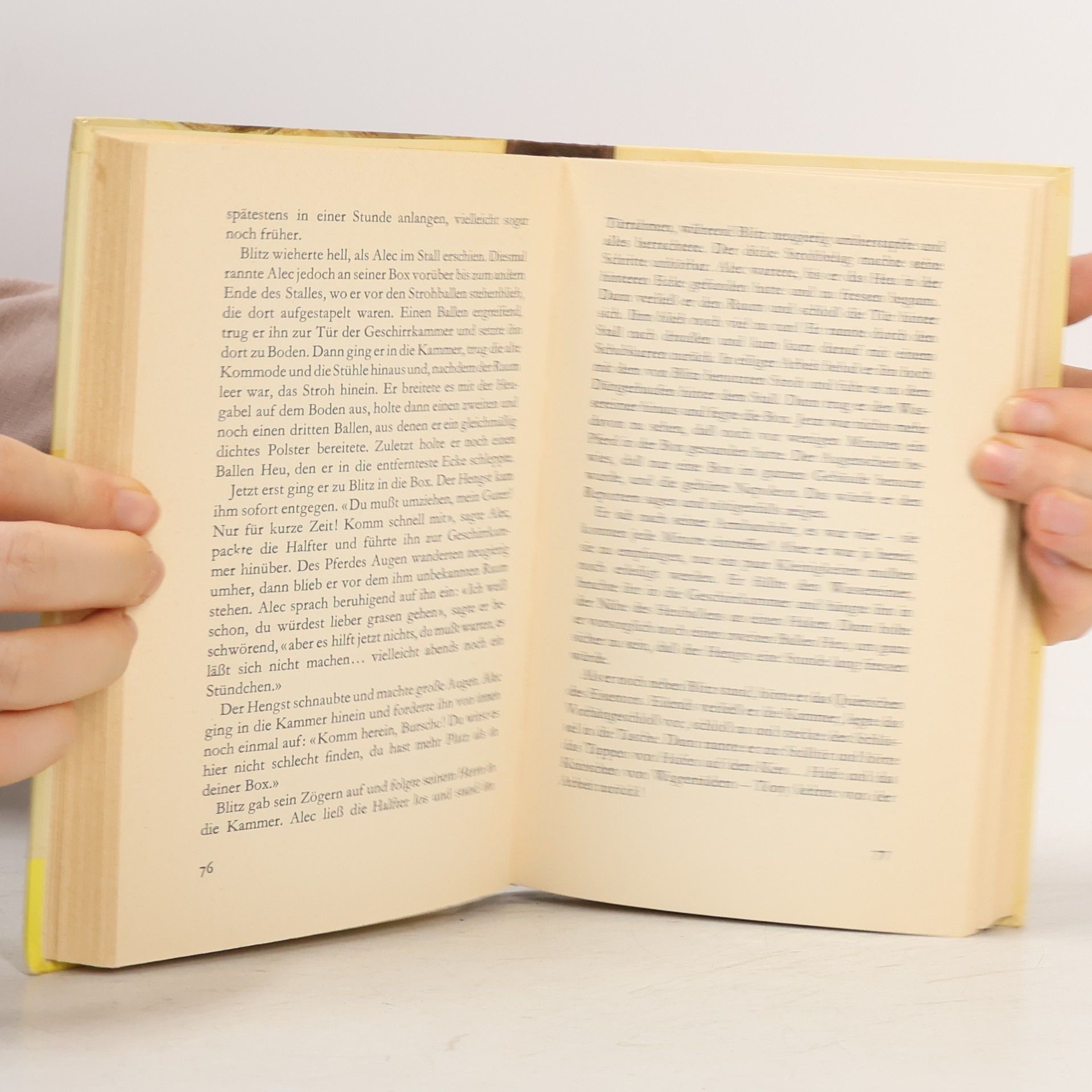 Walter Farley Blitz und der Brandfuchs