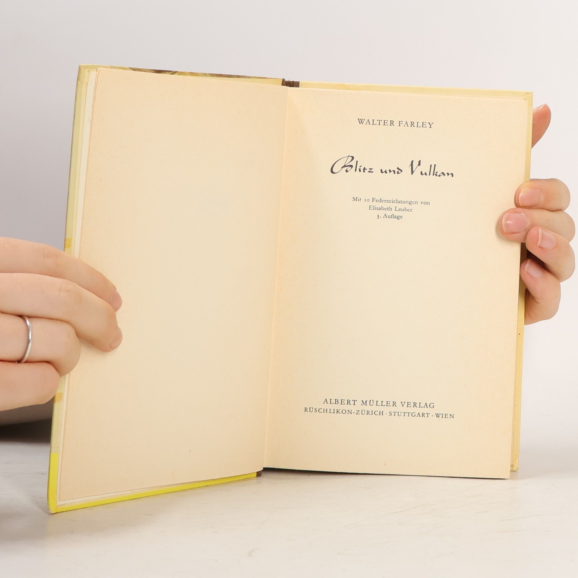Walter Farley Blitz und der Brandfuchs
