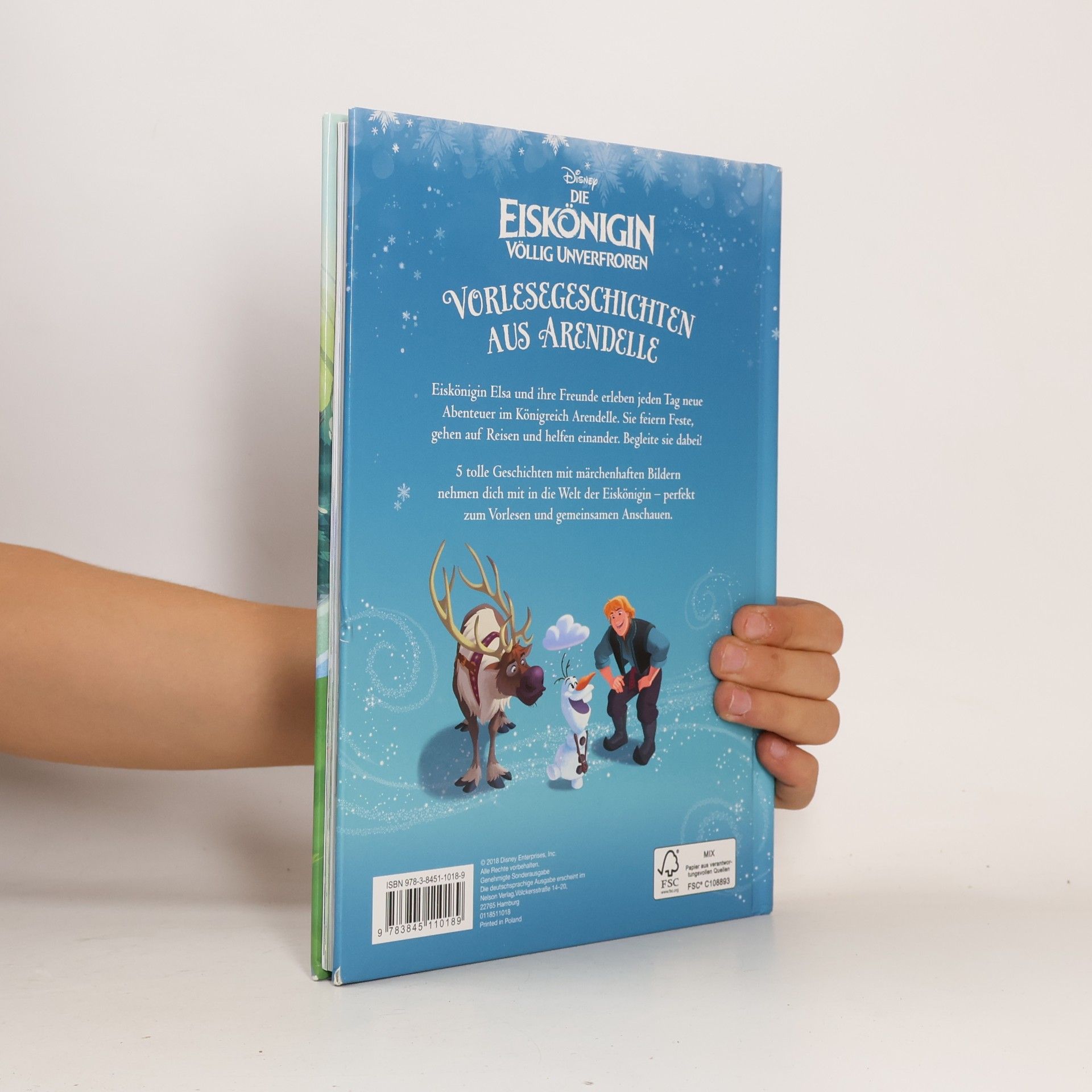 Various authors Vorlesegeschichten aus Arendelle