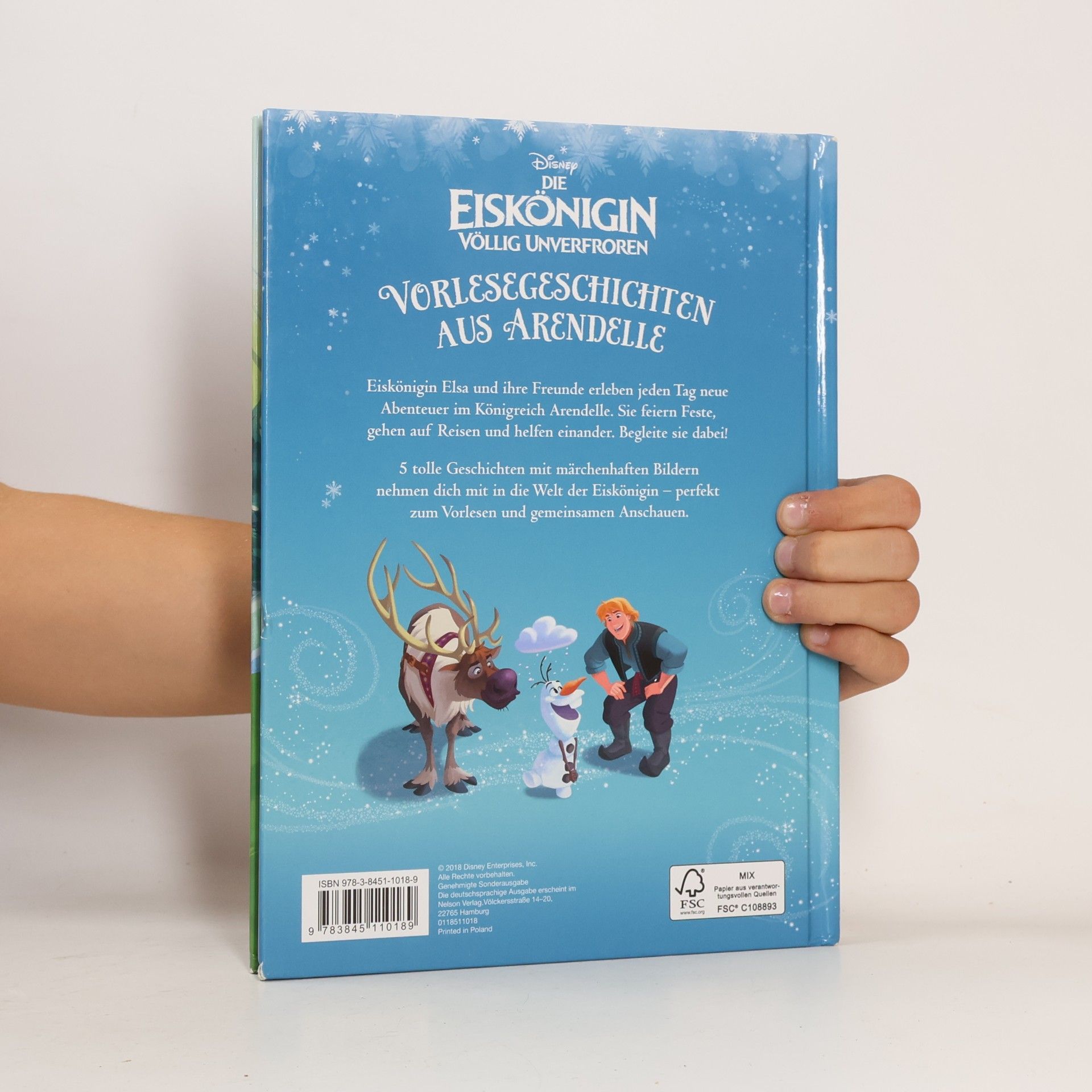 Various authors Vorlesegeschichten aus Arendelle