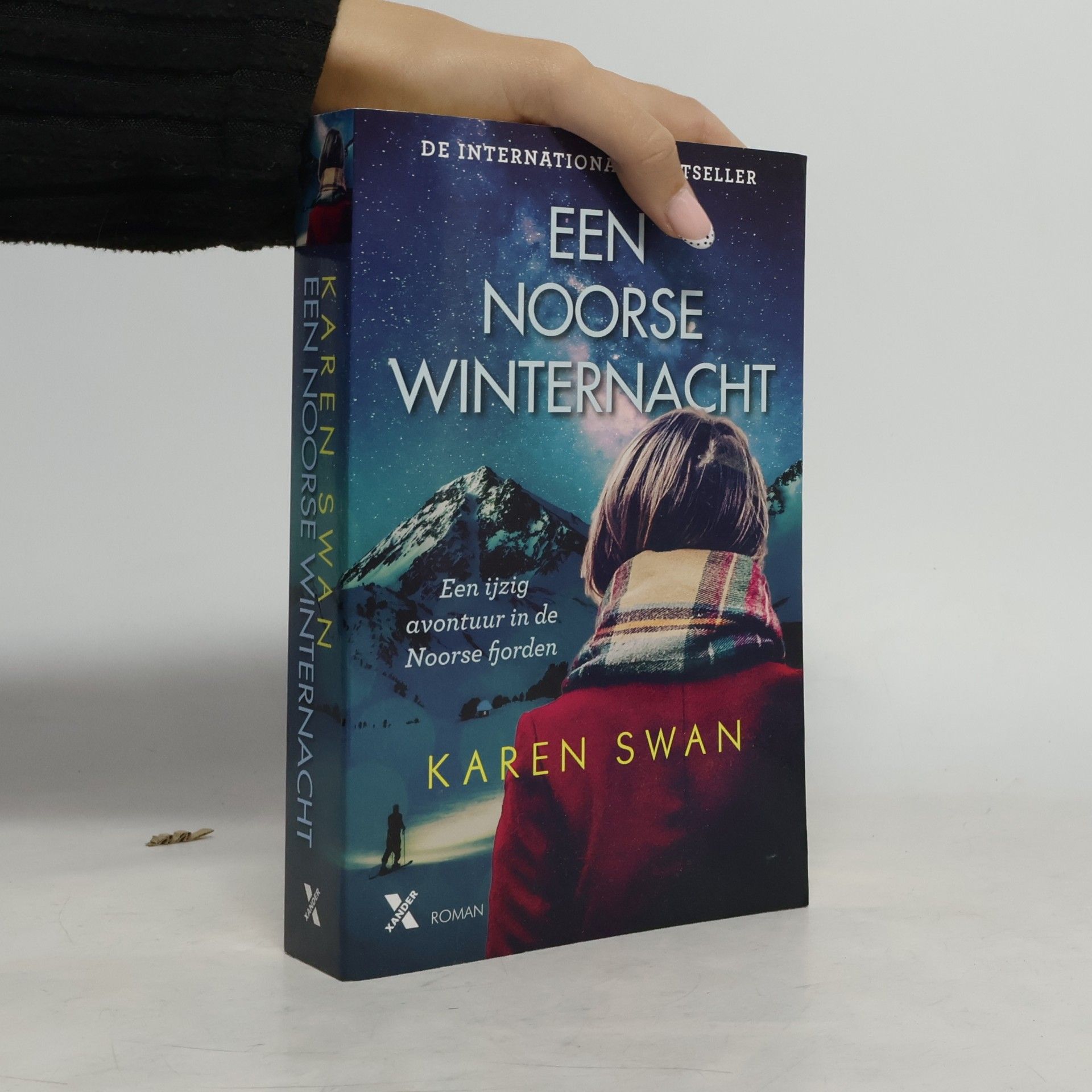 Een Noorse winternacht