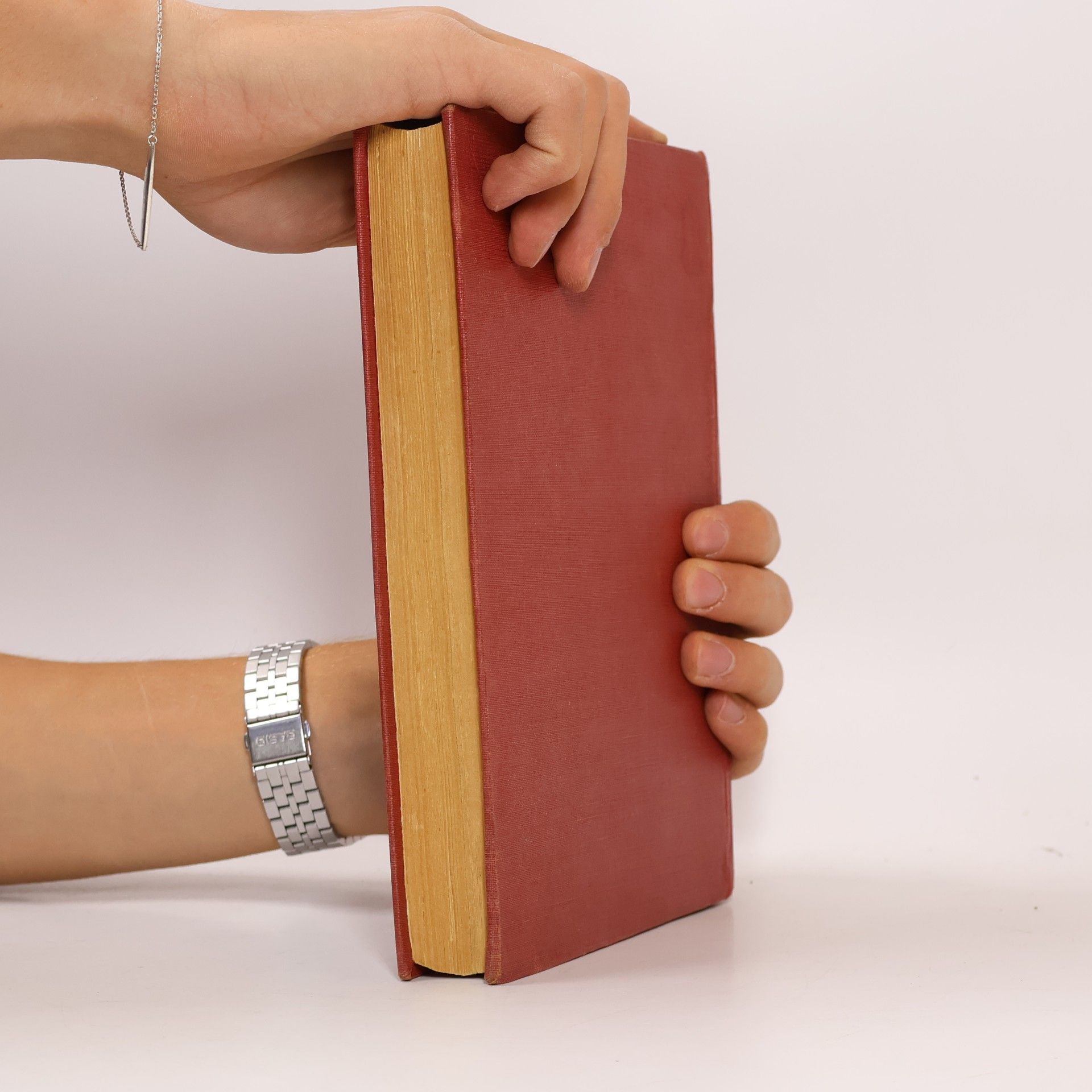 Autores varios Technologie masného průmyslu