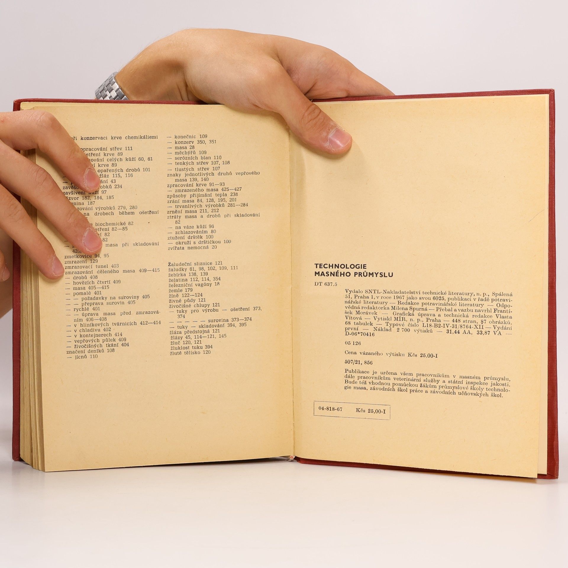 Autores varios Technologie masného průmyslu