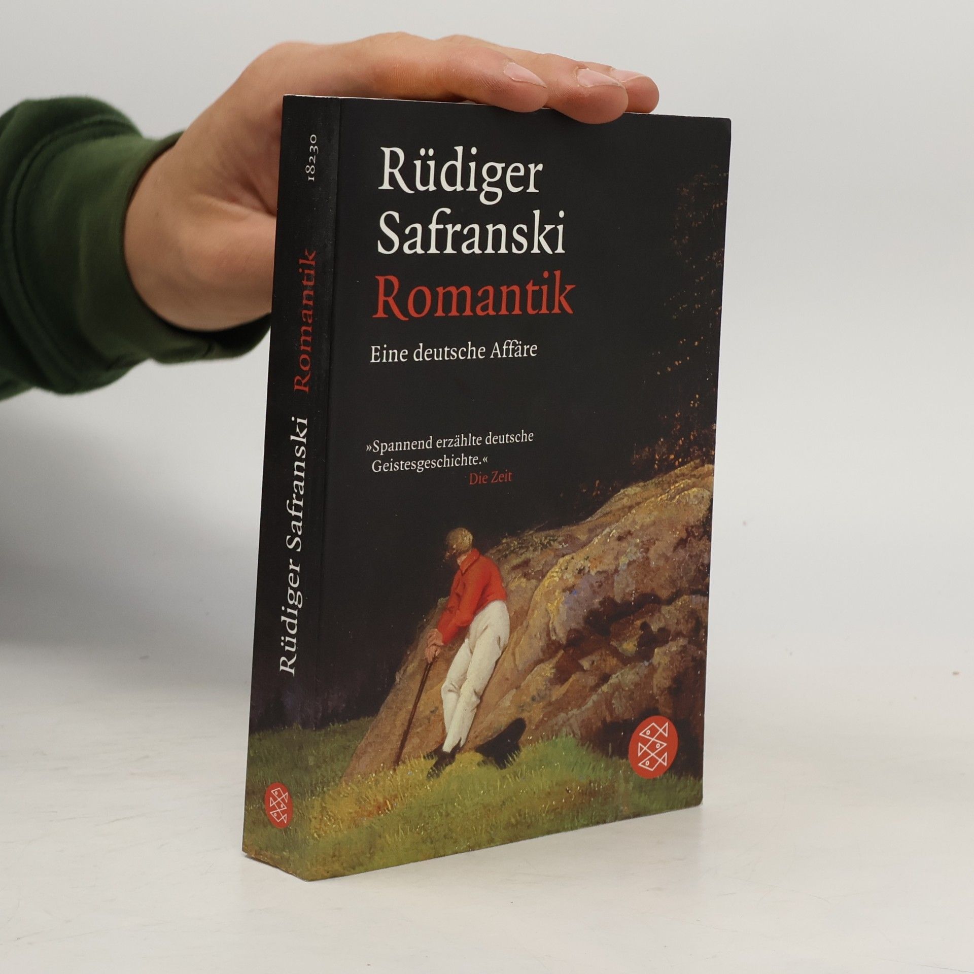 Rüdiger Safranski Romantik
