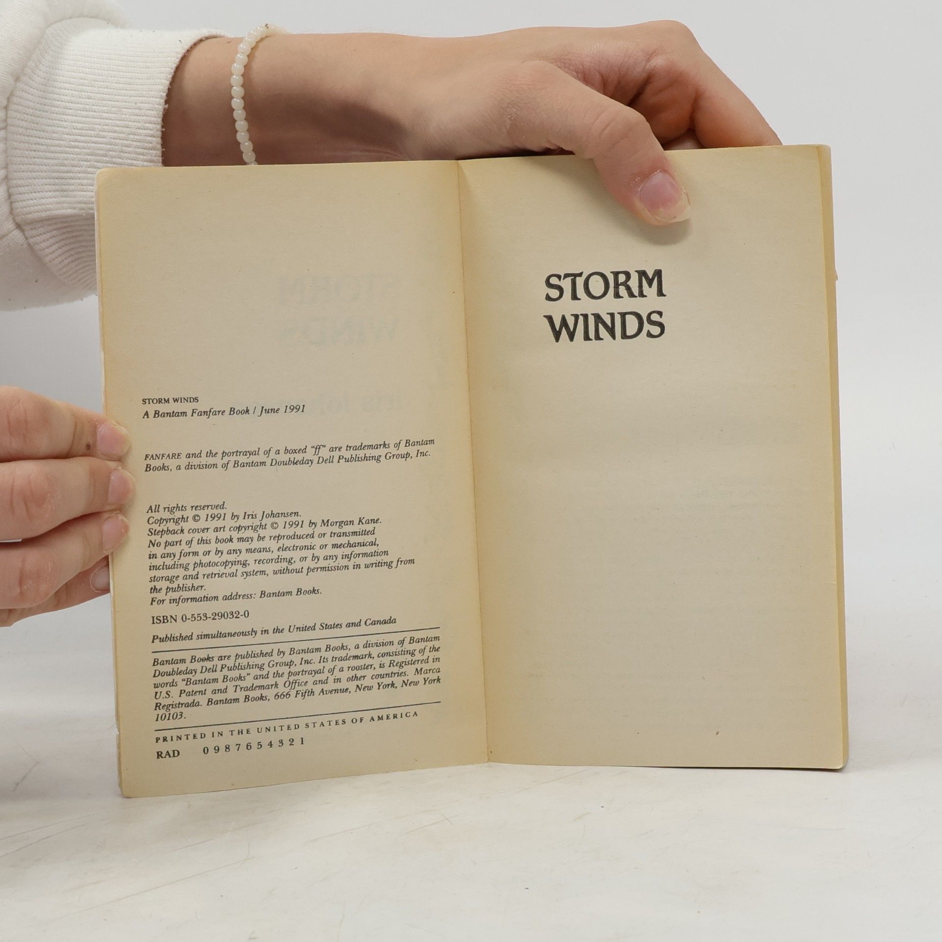 Iris Johansen Storm Winds