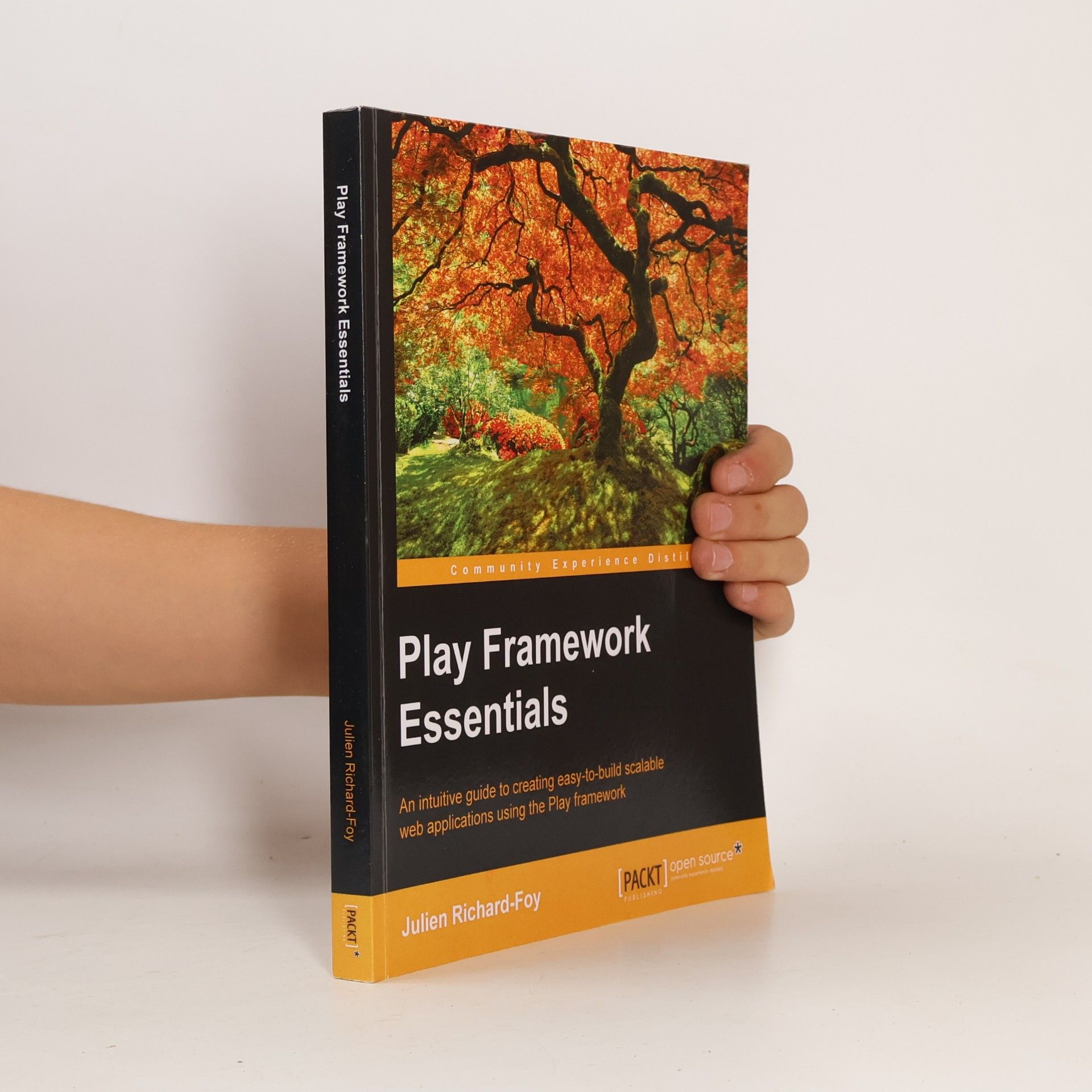 Julien Richard-Foy Play Framework Essentials - English Edition