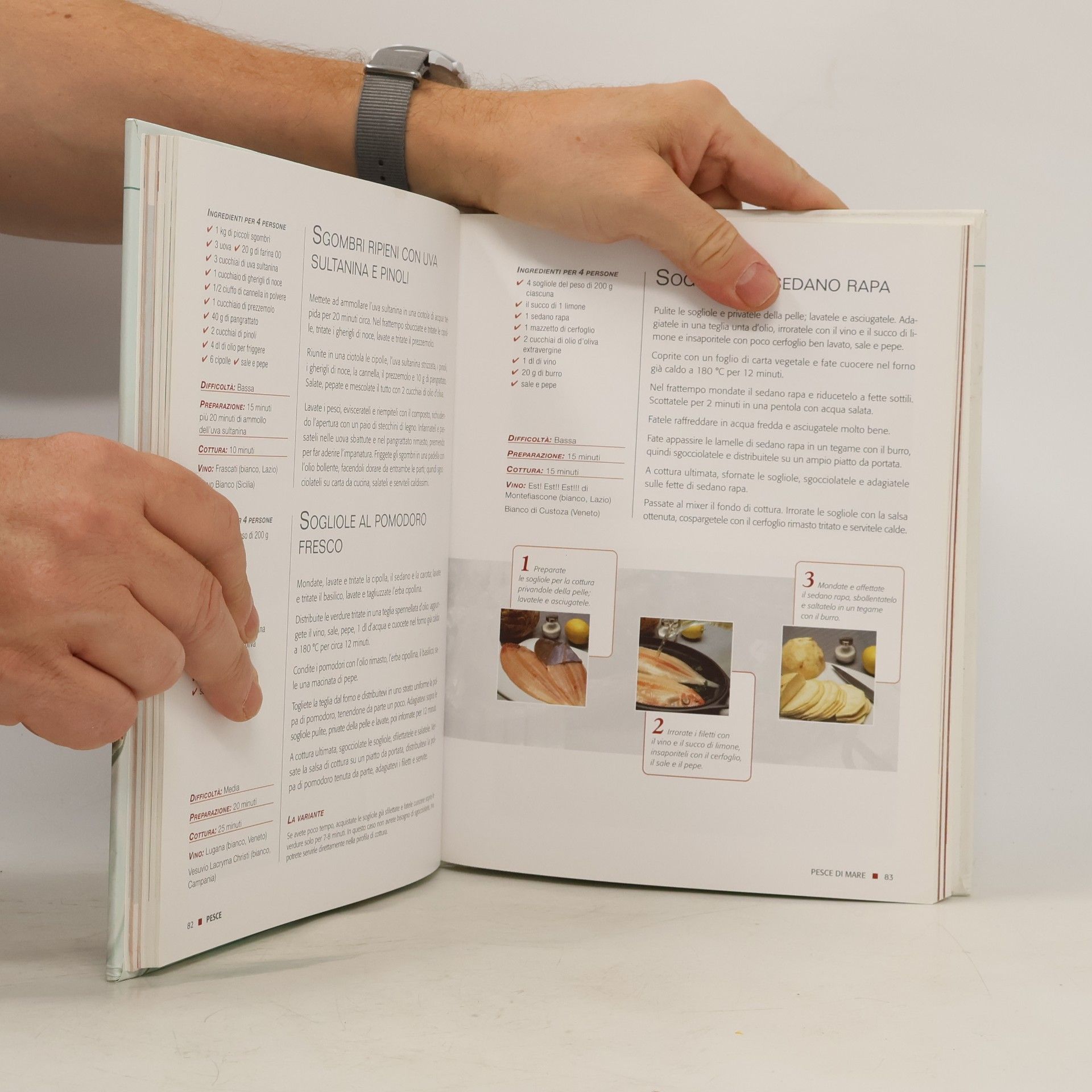 Autores varios Pesce