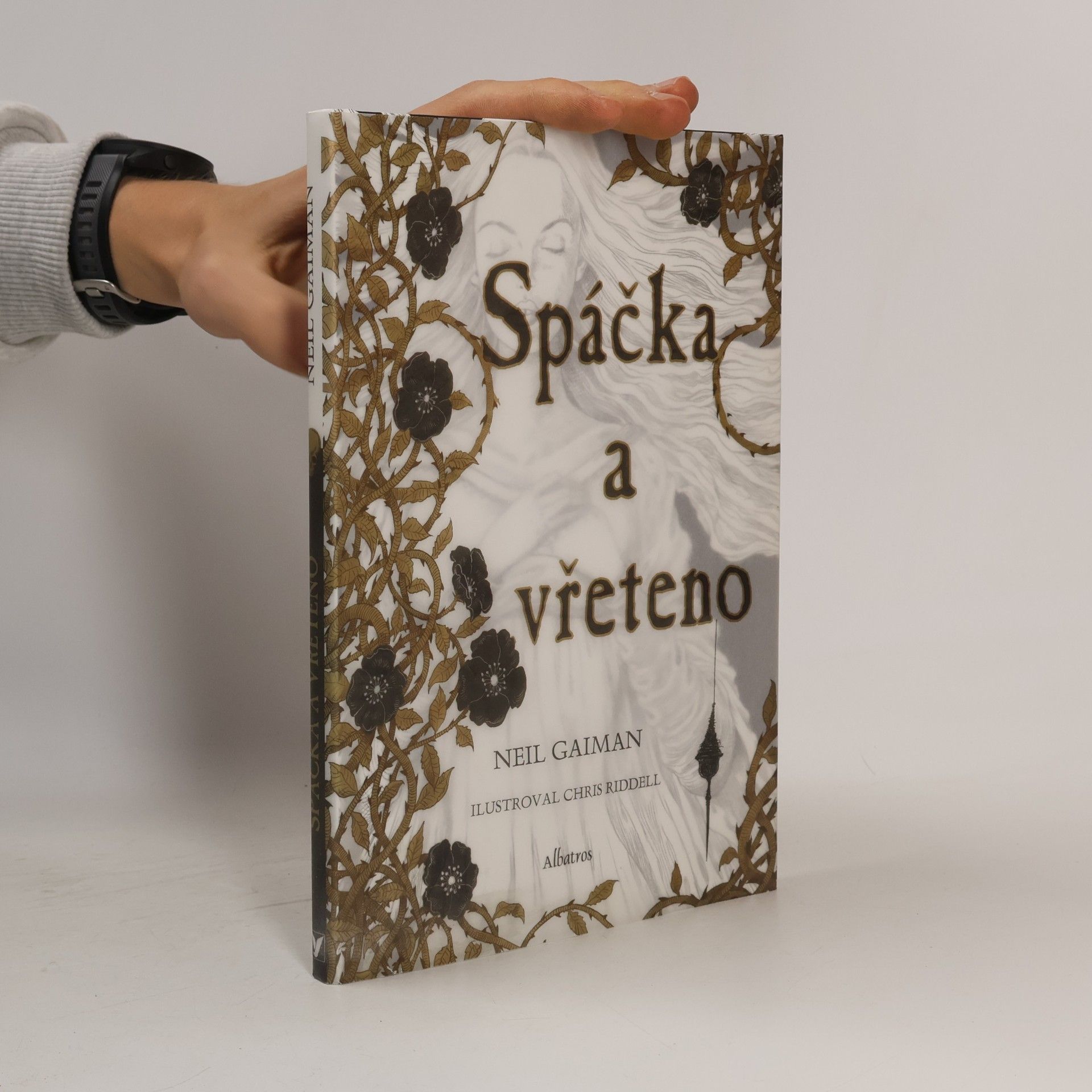 Neil Gaiman Spáčka a vřeteno