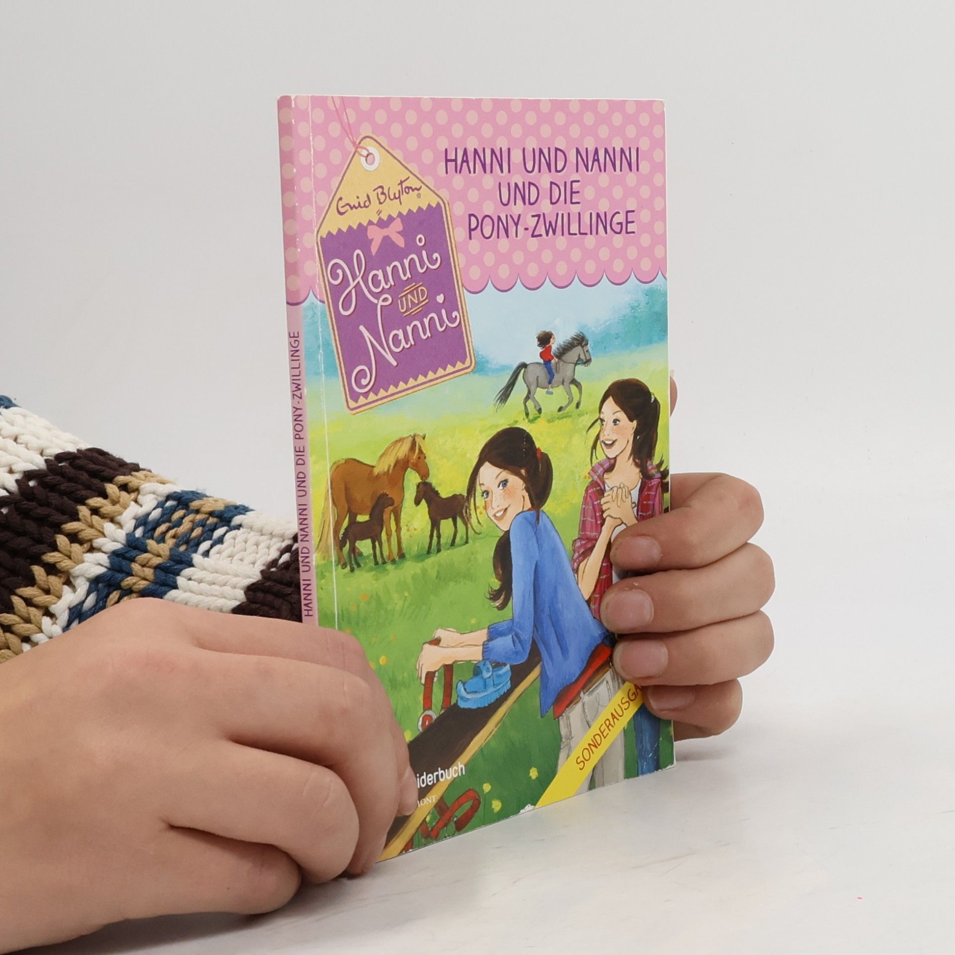 Enid Blyton Hanni und Nanni und die Pony-Zwillinge