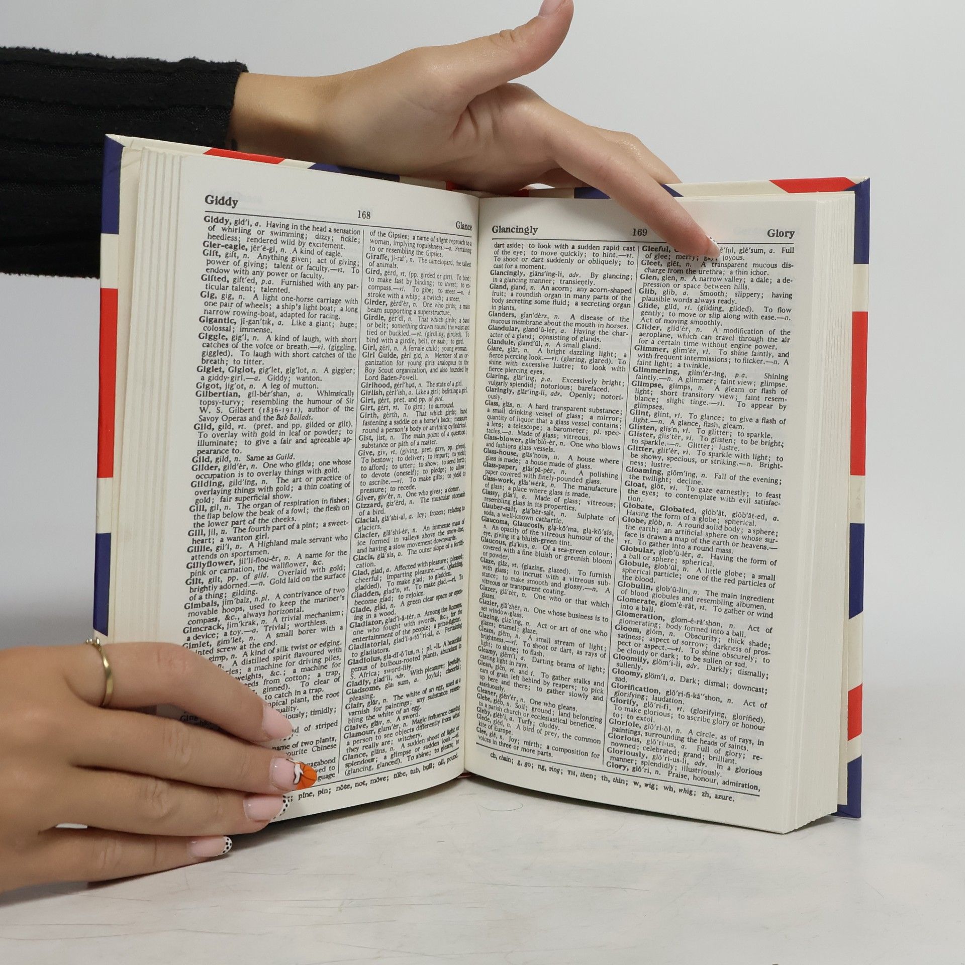 kolektiv ConciseFamily Dictionary - with over 30000 entries (A4, lam, 506 s.)