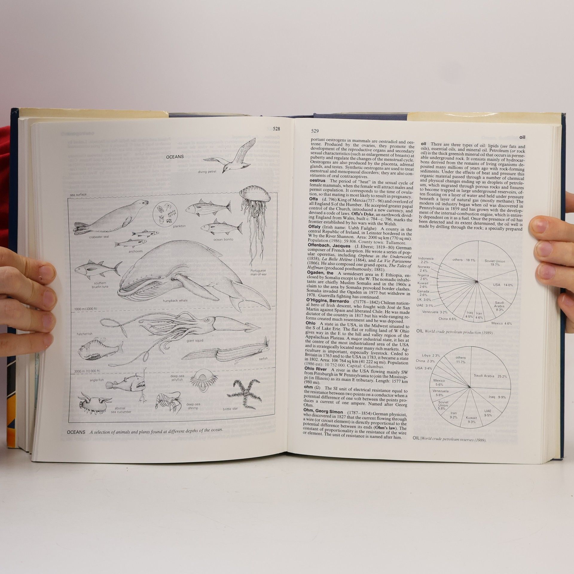 kolektiv The Macmillan Concise Encyclopedia