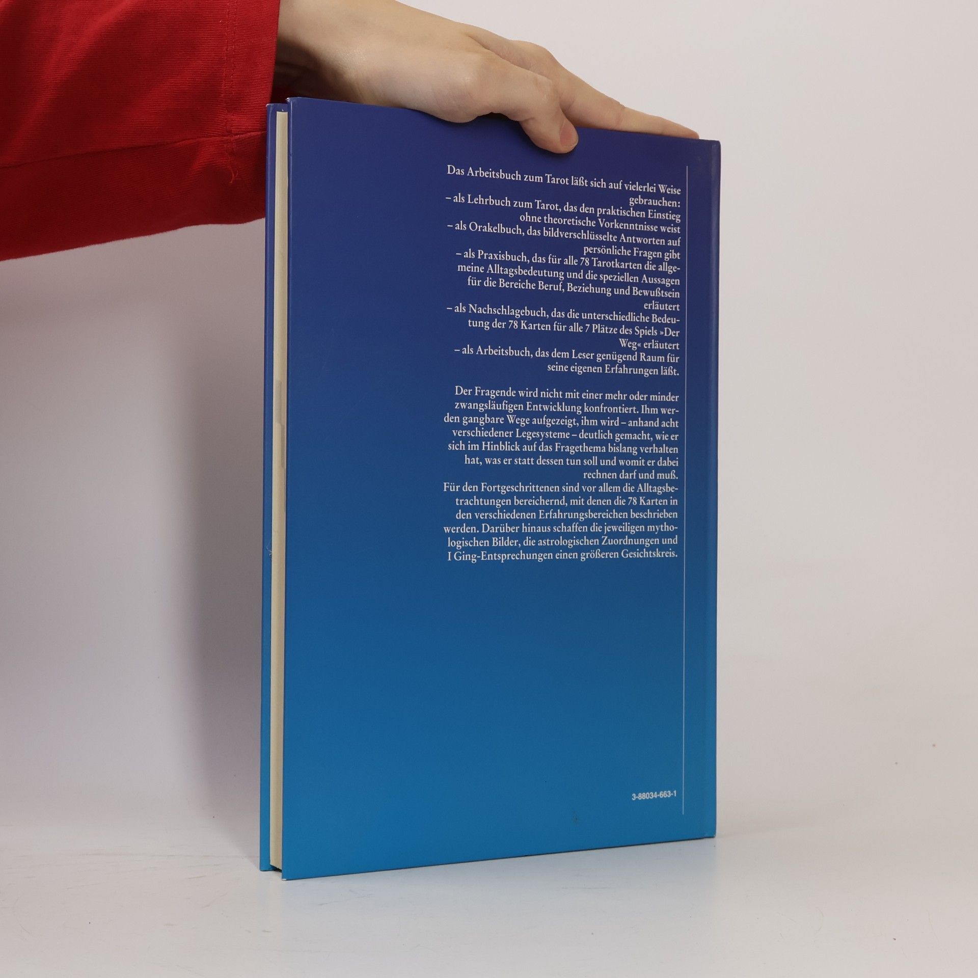 Hajo Banzhaf Das Arbeitsbuch zum Tarot