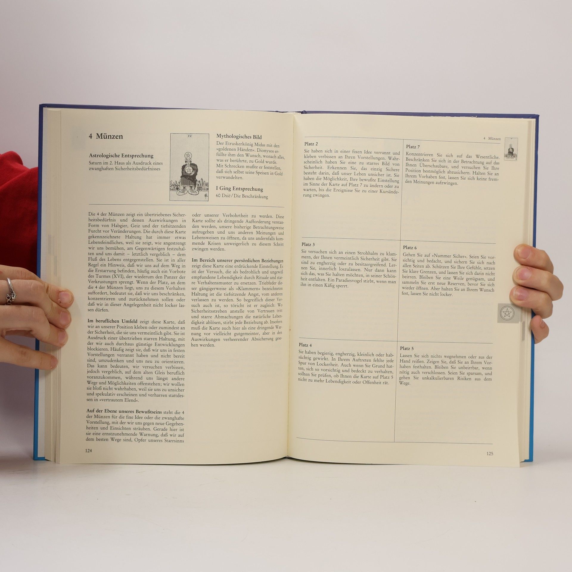 Hajo Banzhaf Das Arbeitsbuch zum Tarot