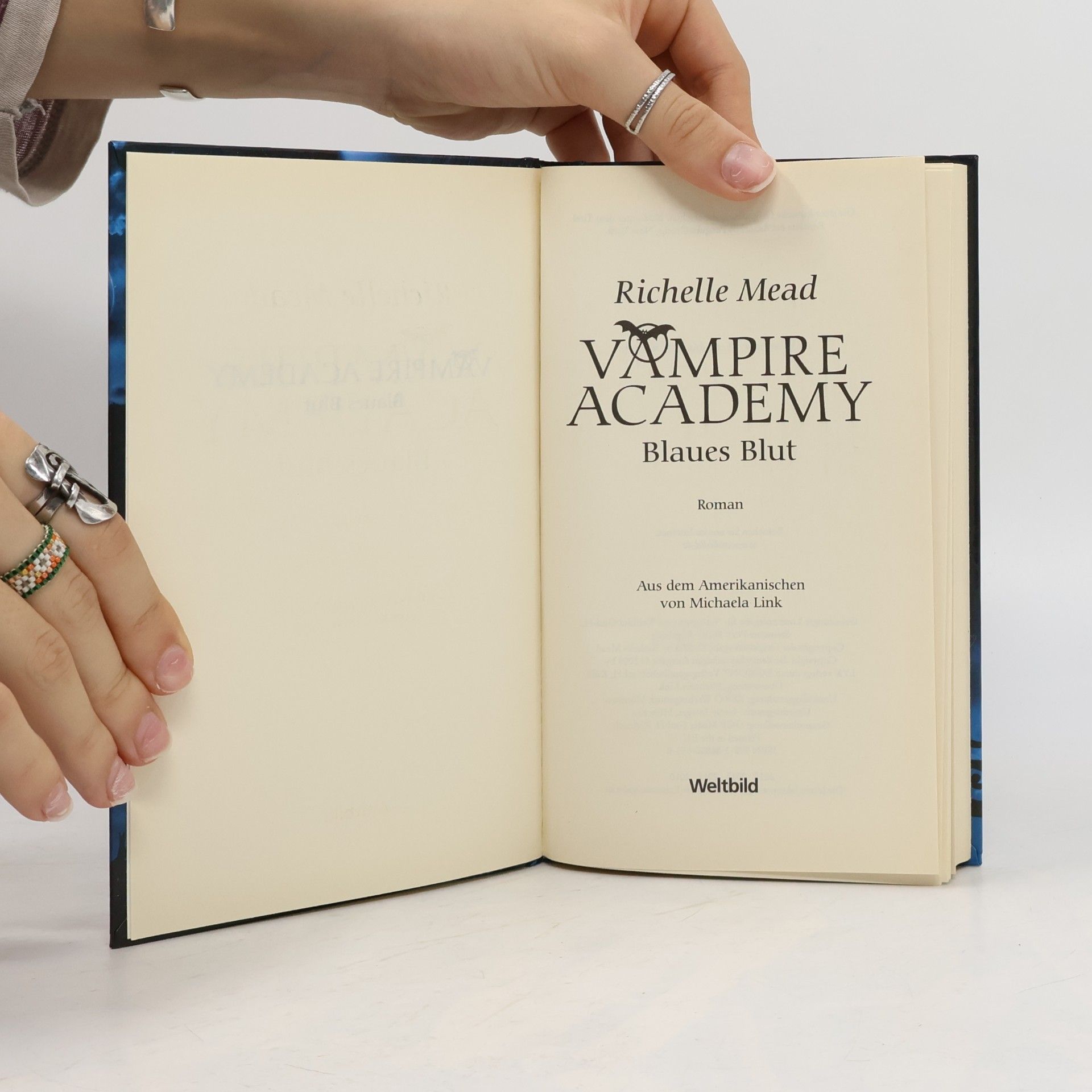 Richelle Mead Vampire Academy. Blaues Blut