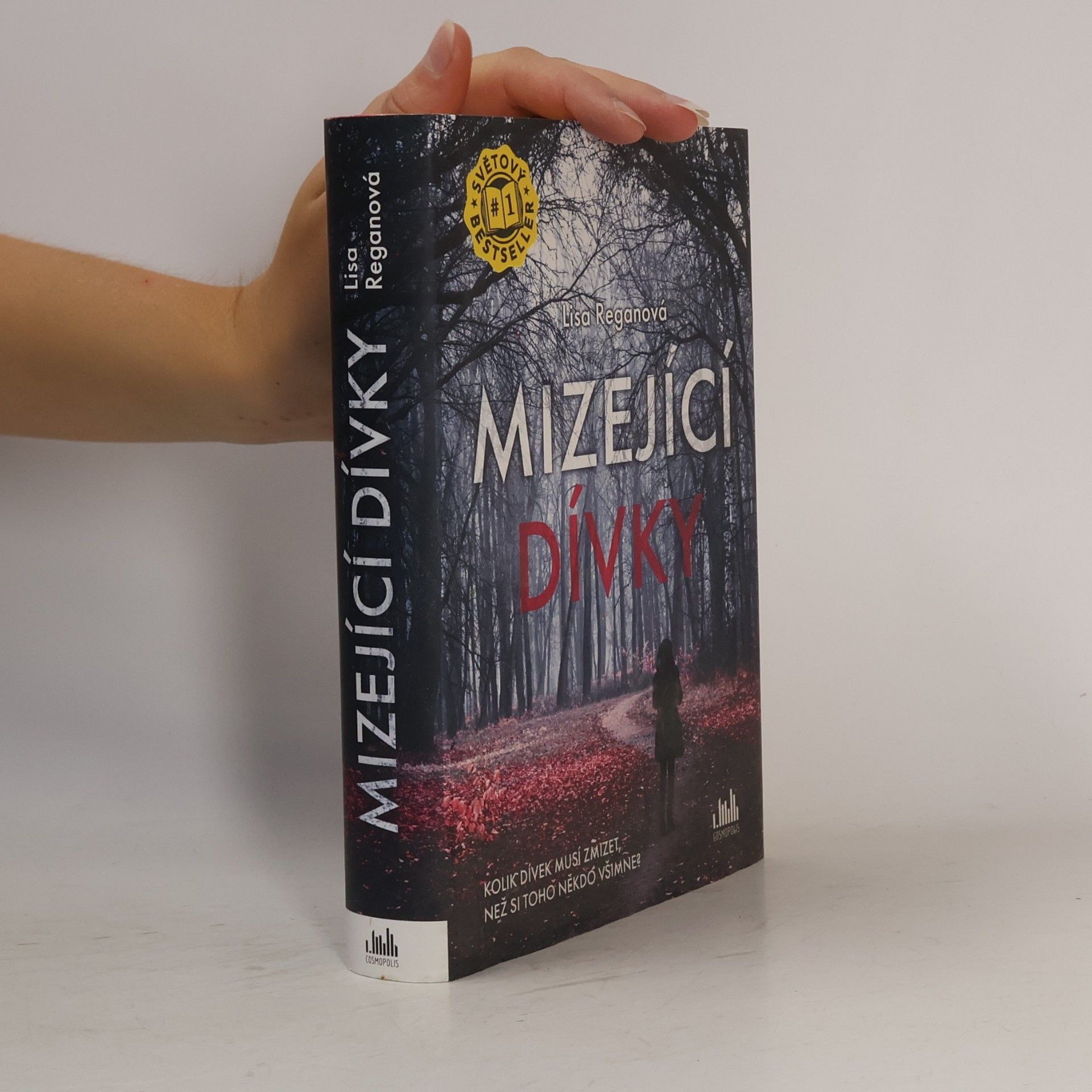 Lisa Regan Mizející dívky