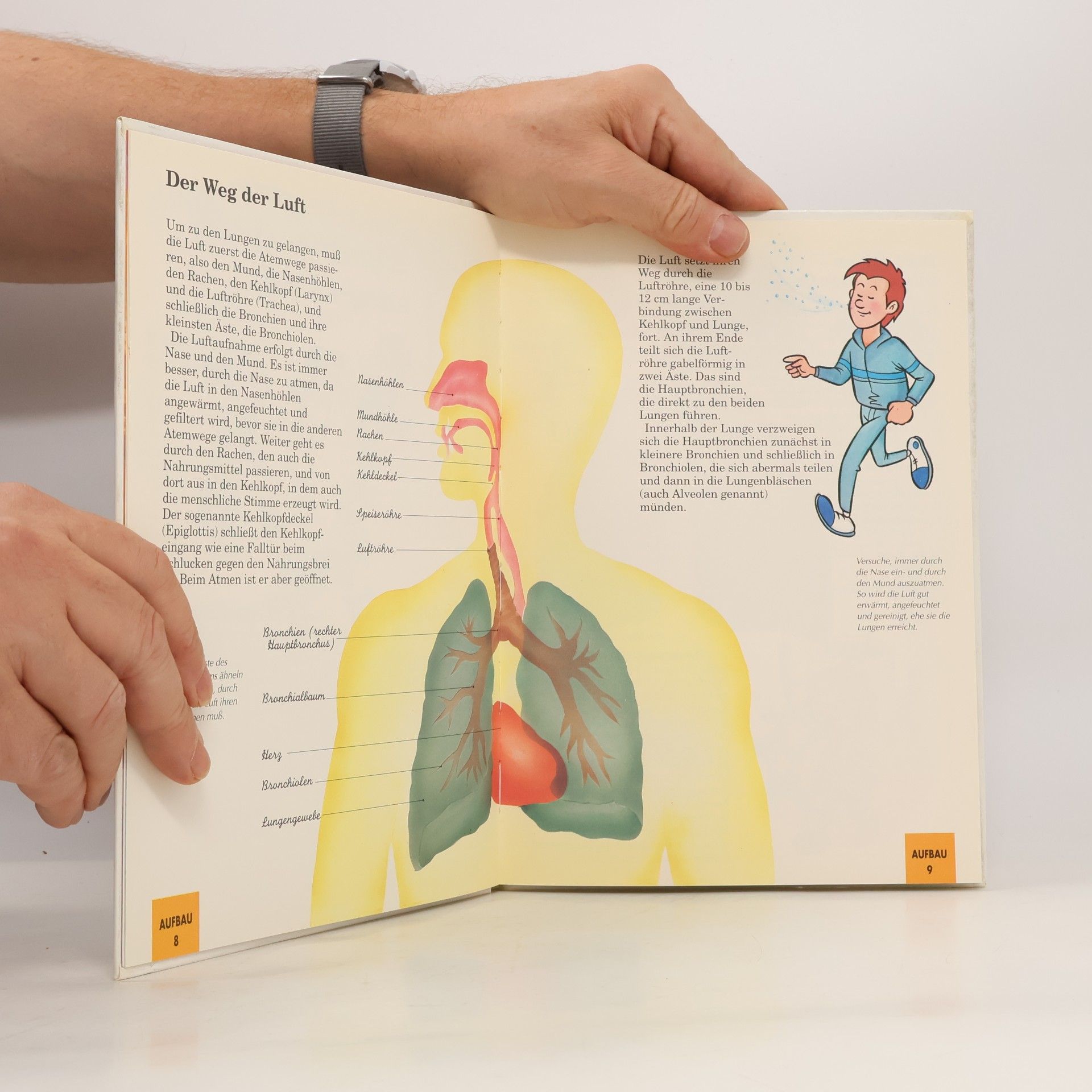 Autorenkollektiv Mein Körper. Was ist das? Die Atmung 8