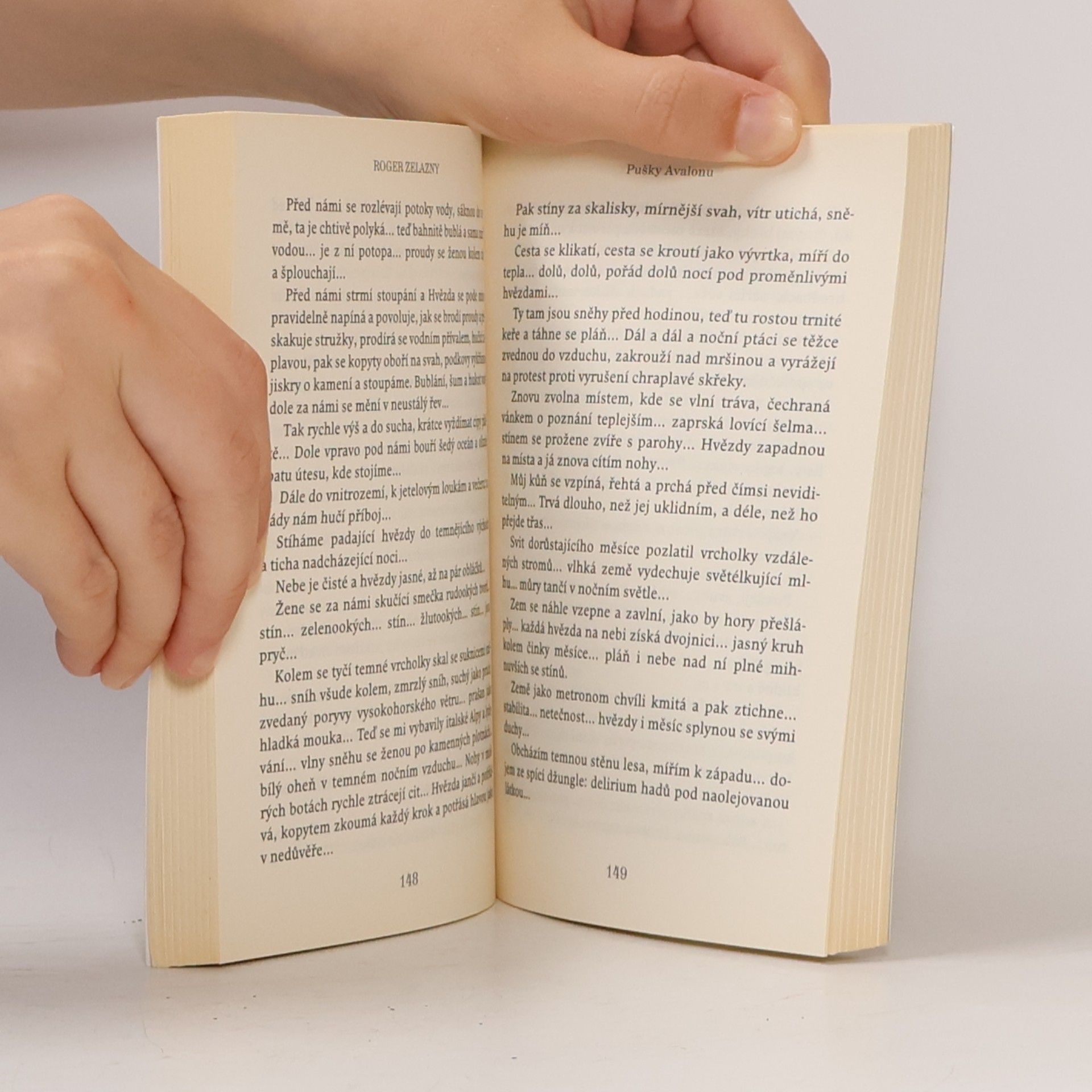 Roger Zelazny Pušky Avalonu