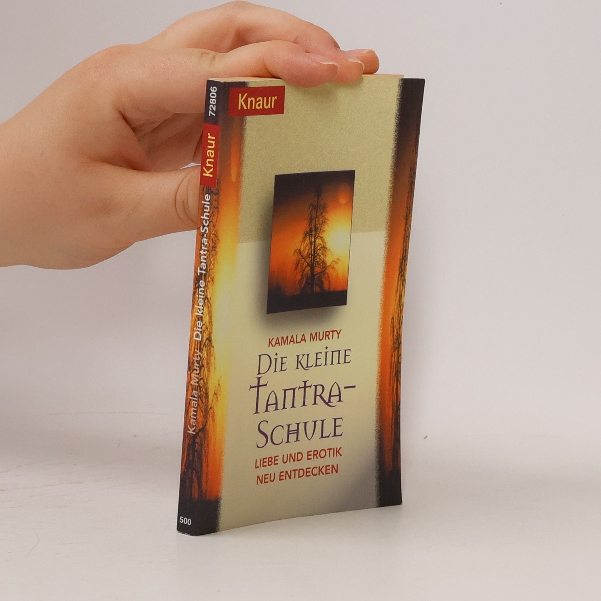 Kamala Murty Die kleineTantra-Schule