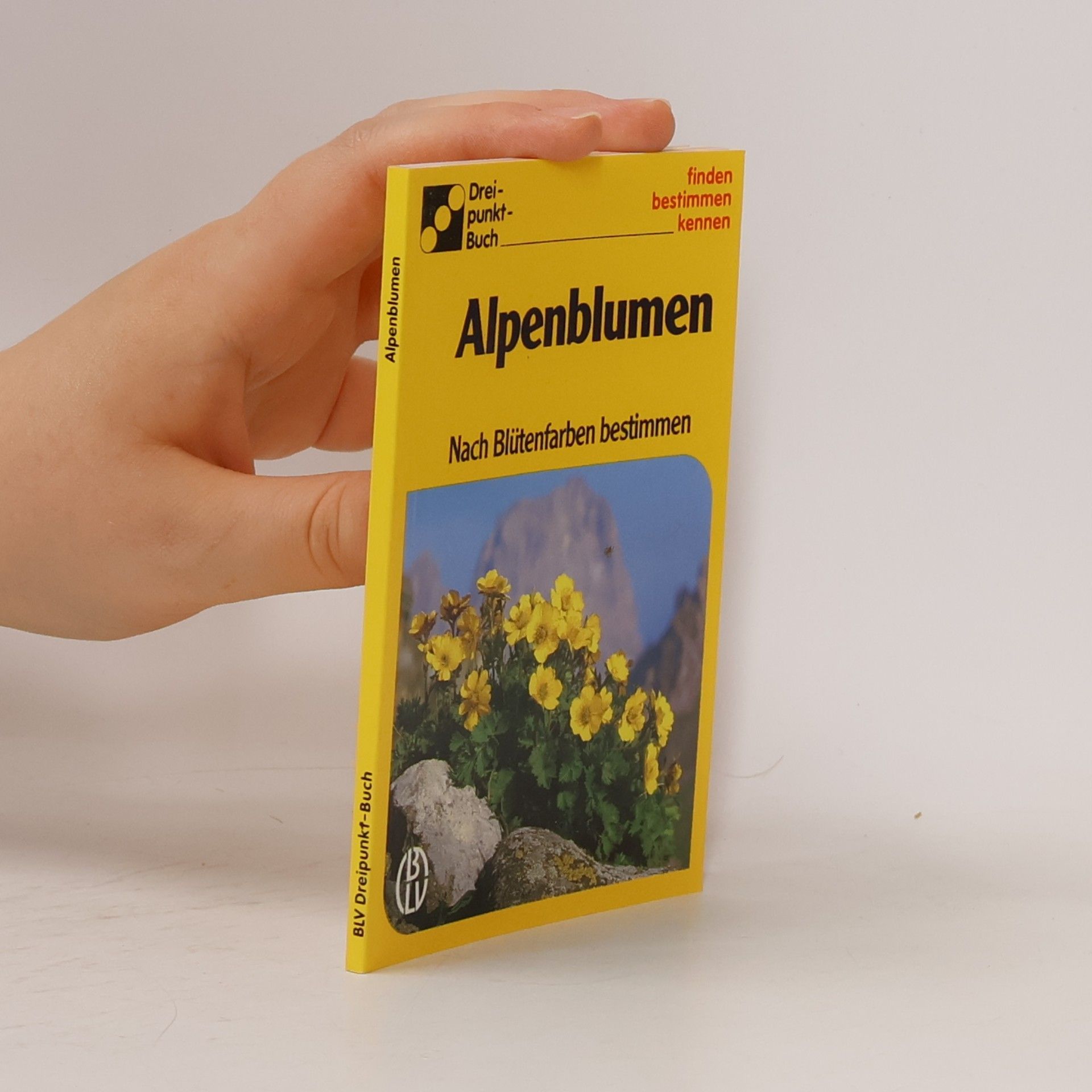 kolektiv Alpenblumen
