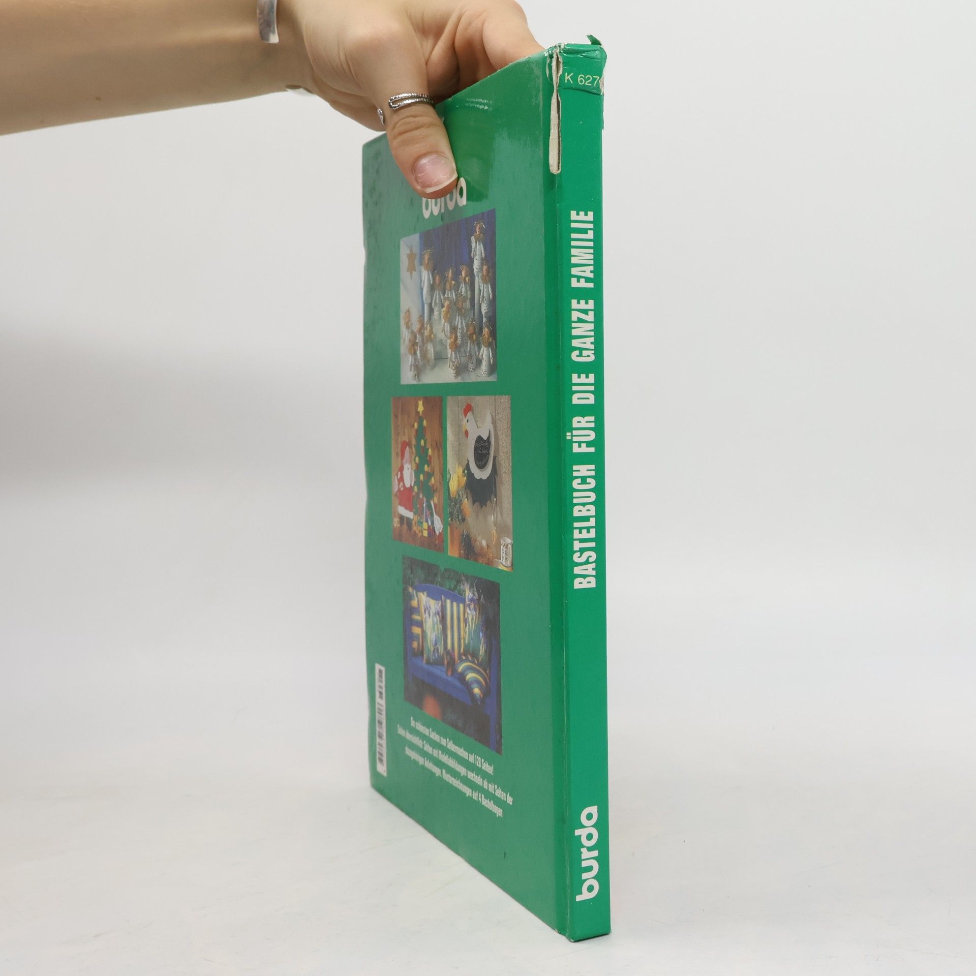 Anne Thiemeyer Das große Bastelbuch