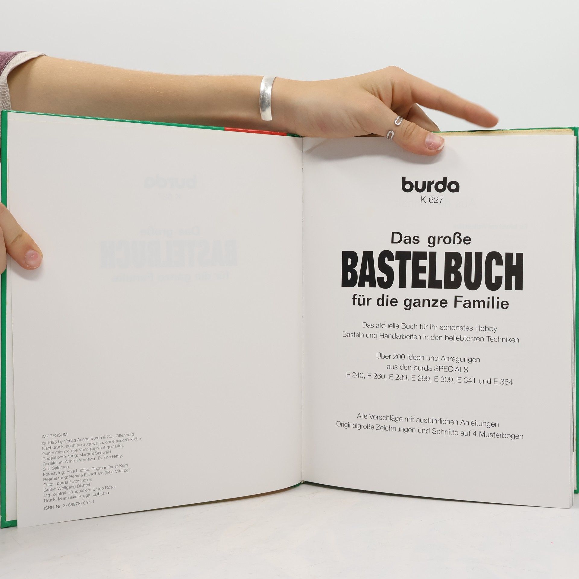 Anne Thiemeyer Das große Bastelbuch