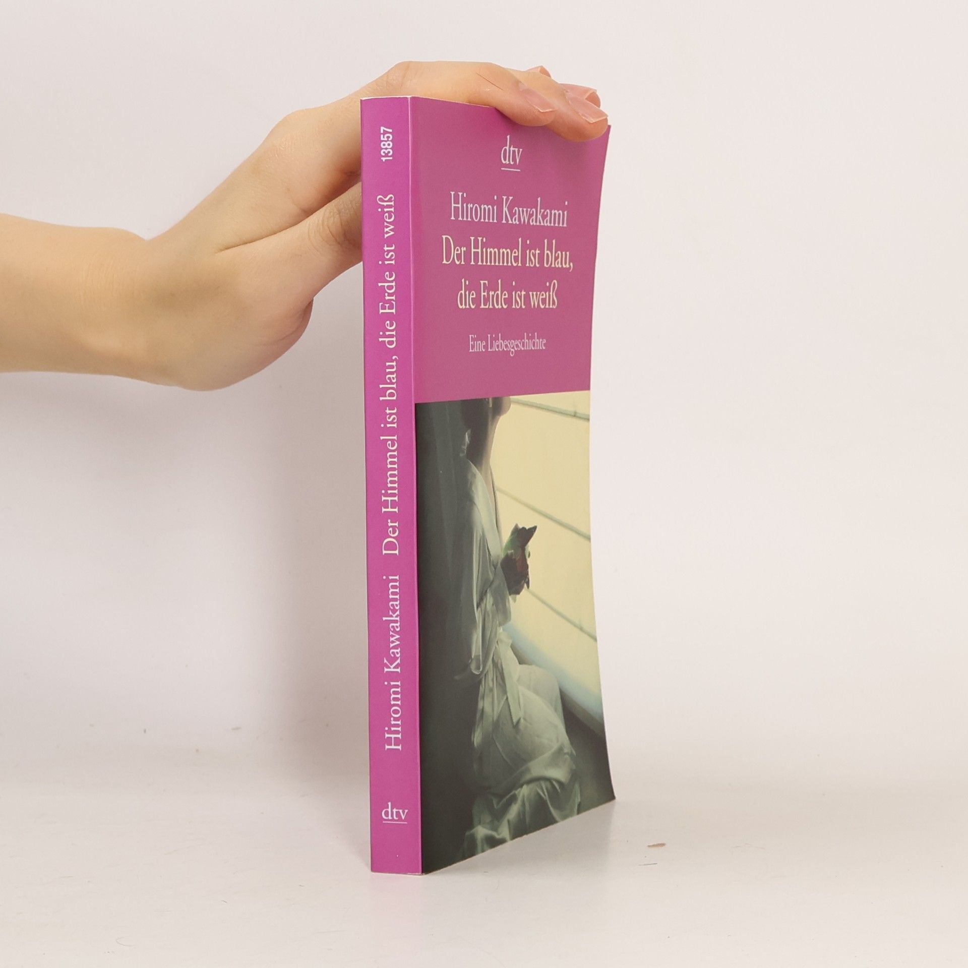 Hiromi Kawakami Der Himmel ist blau, die Erde ist weiß