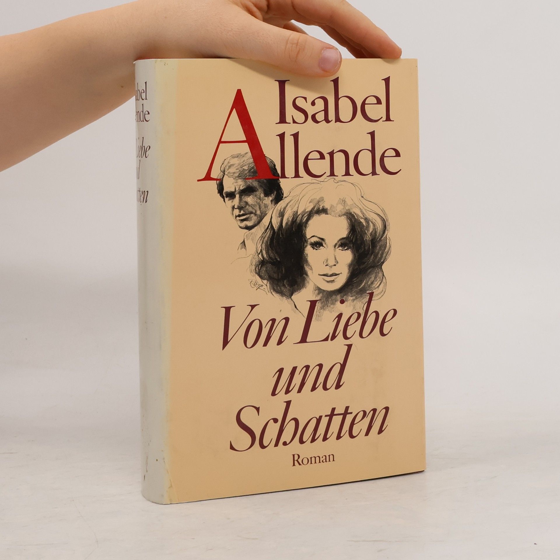 Isabel Allende Von Liebe und Schatten