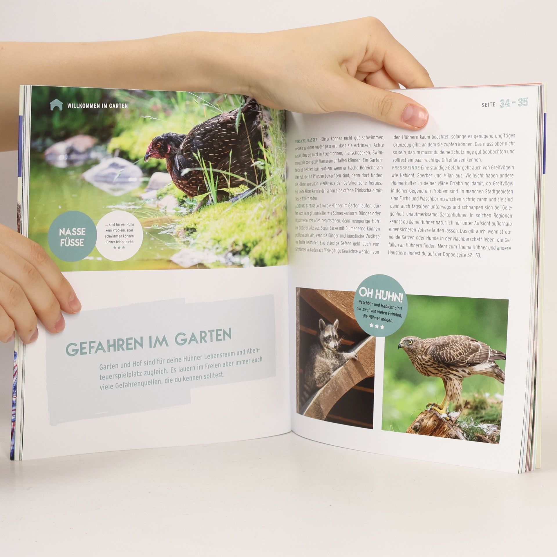 Robert Höck Das Hühnerbuch für Kids