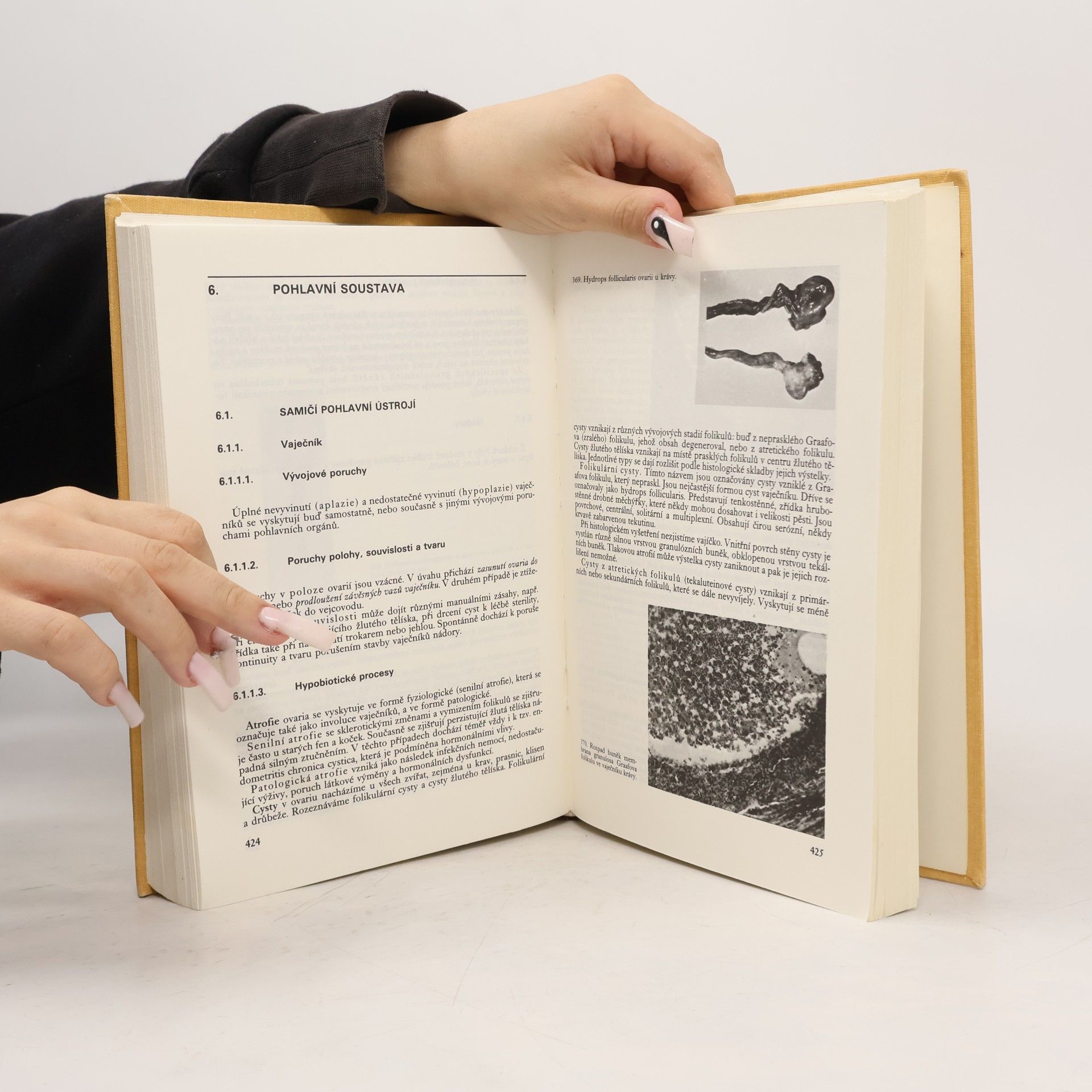 Miroslav Zendulka Patologická anatomie hospodářských zvířat